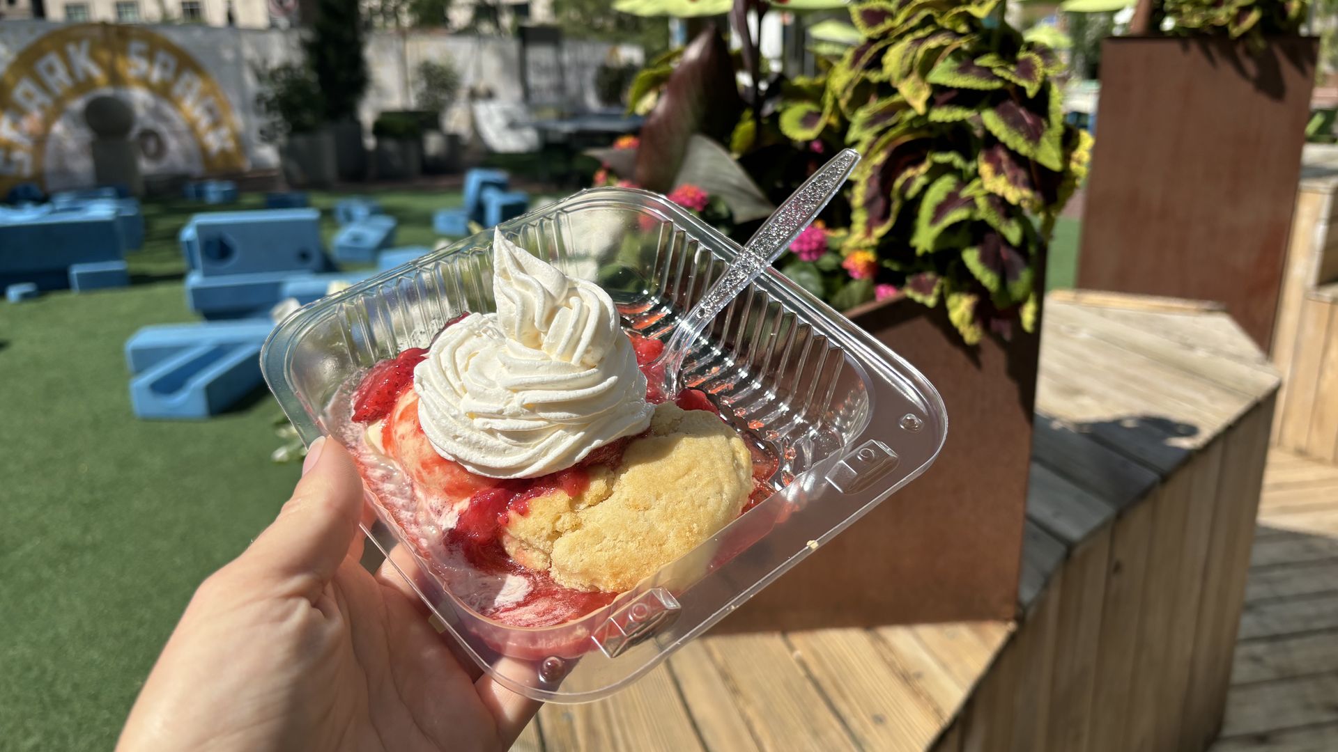 A strawberry shortcake in a plastic container. 