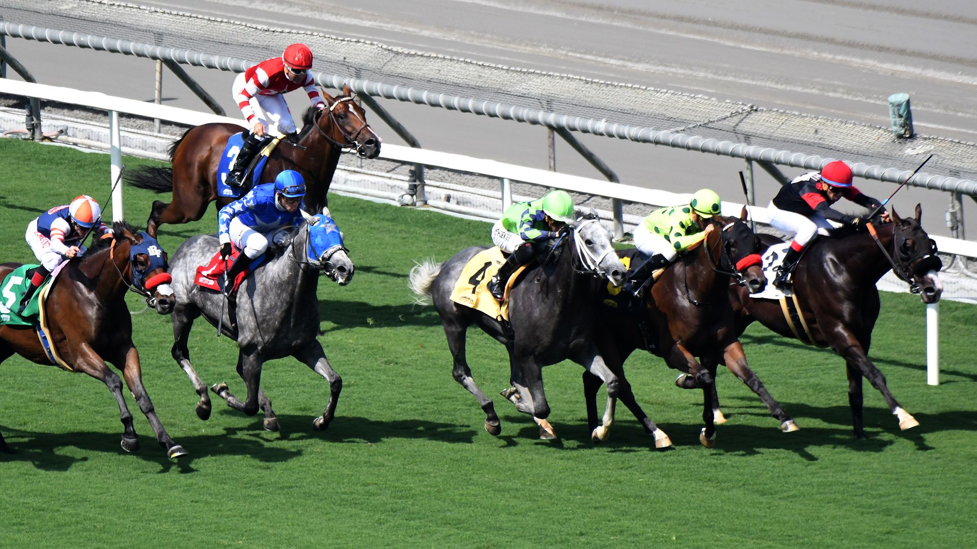 Horses racing at Santa Anita Park