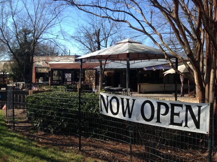 hare the dog charlotte