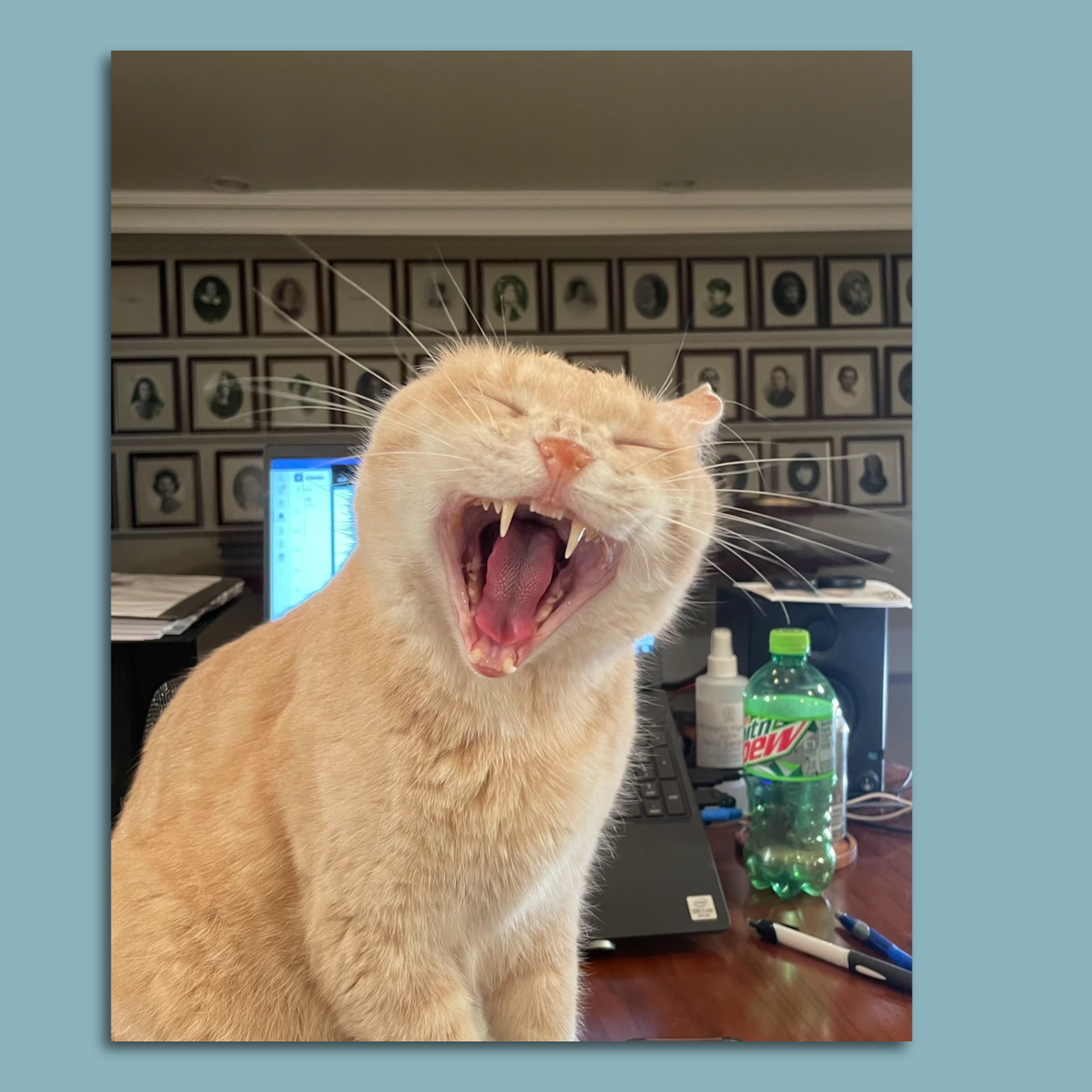 Airtags for Afton: Minnesota Gov. Tim Walz turns to tech to track