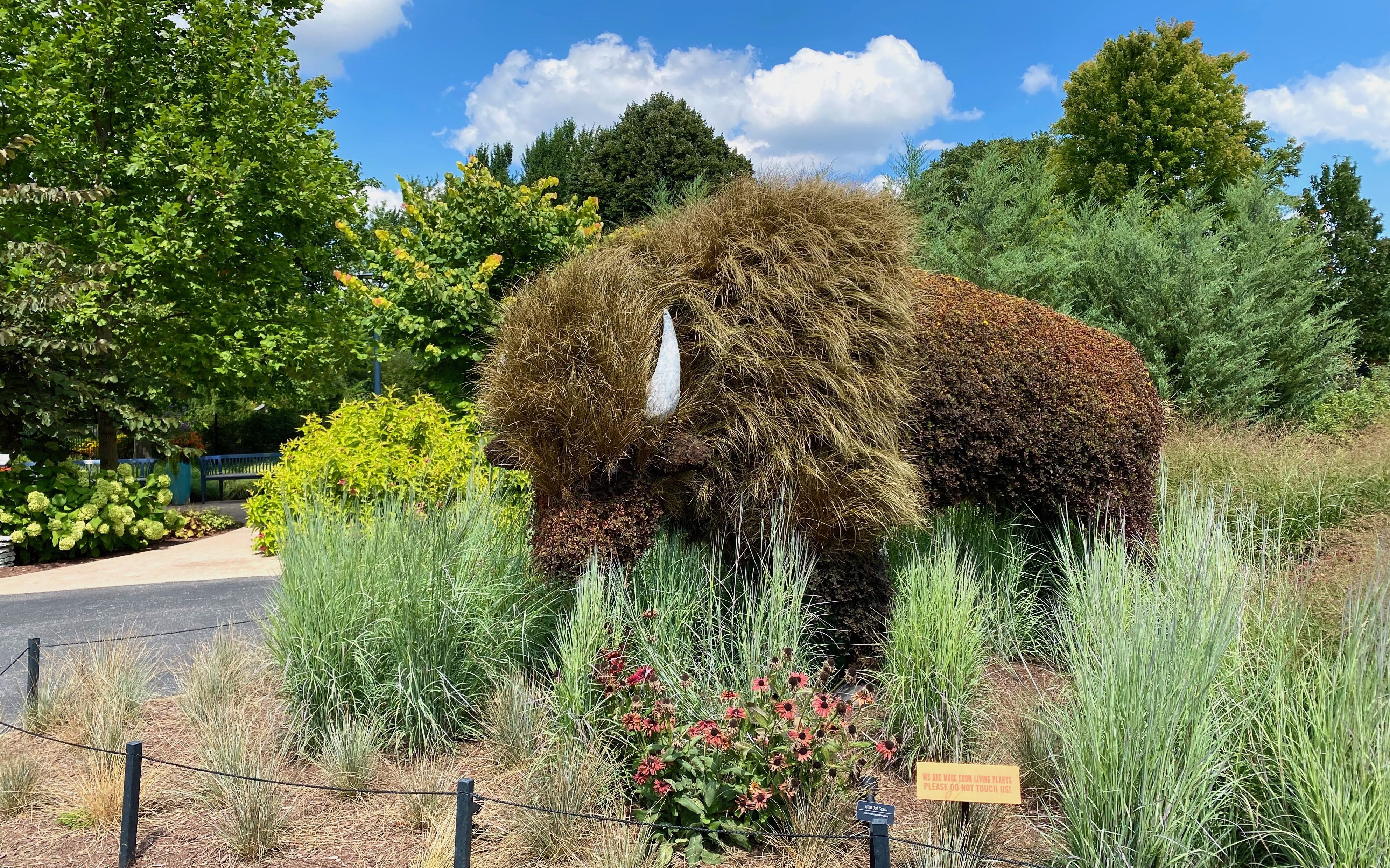 A bison topiary