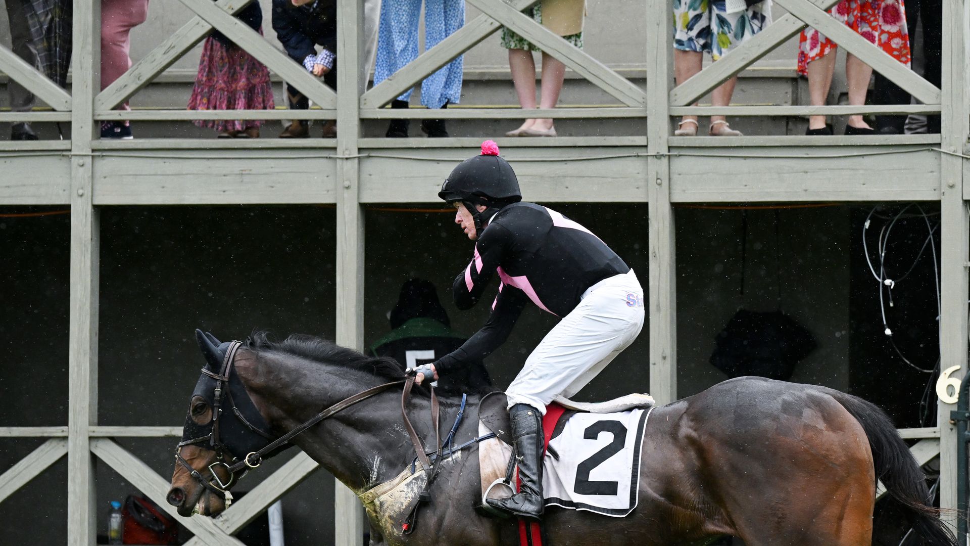Horse racer