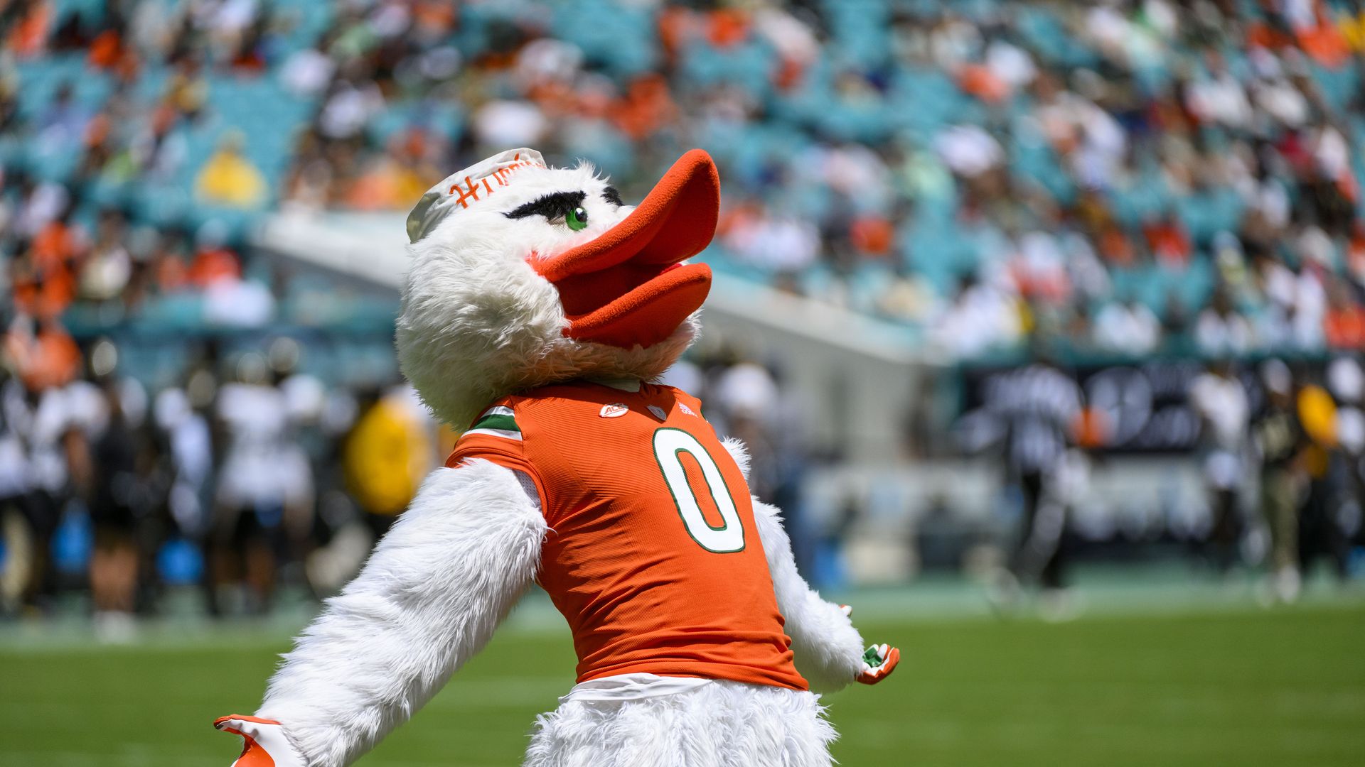 Miami mascot Sebastian the Ibis gestures on the field, wearing an orange jersey. 