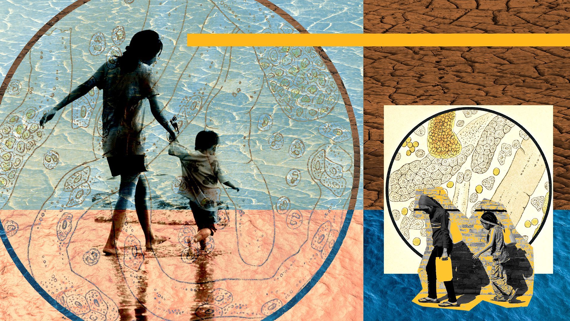 Photo illustration of a collage of bacteria, water, cracked earth, children carrying water and children wading in water.