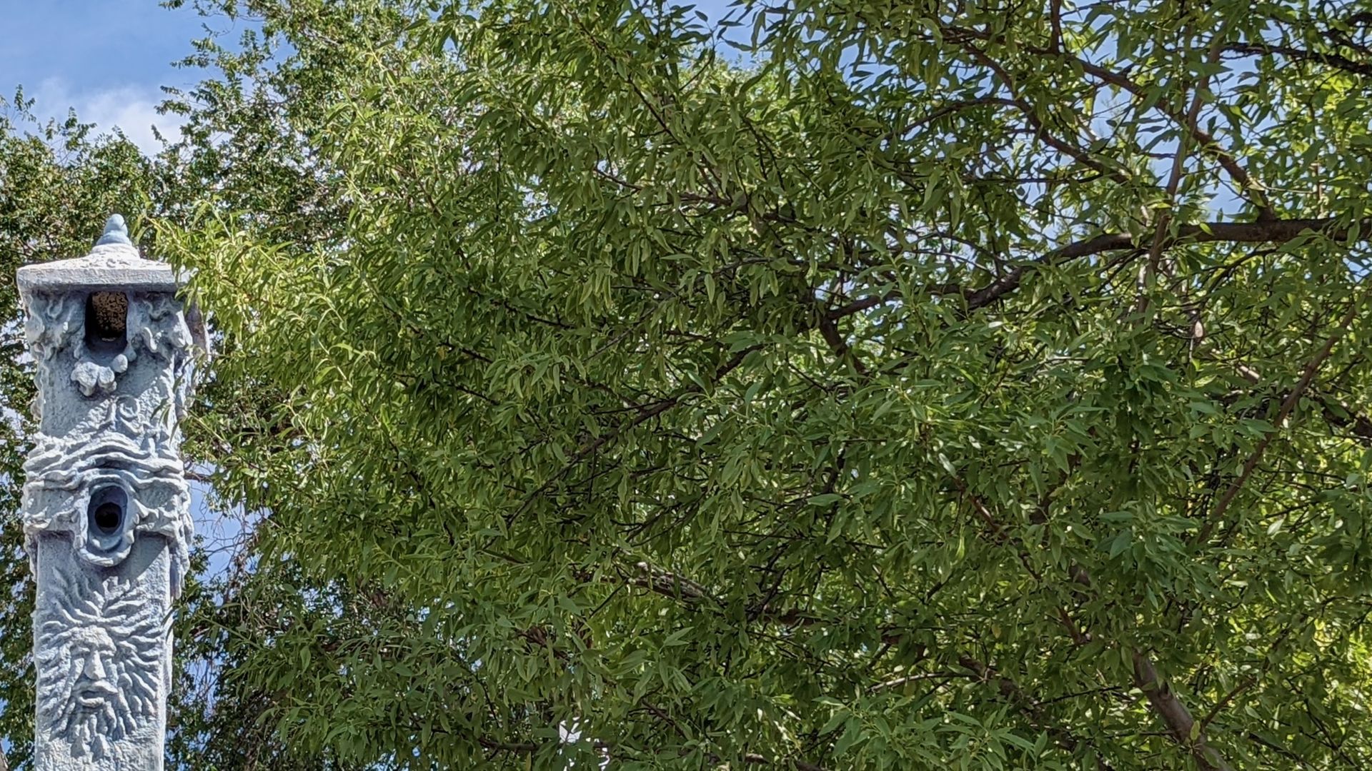 A chimney with ornate stonework appears in front of a tree.