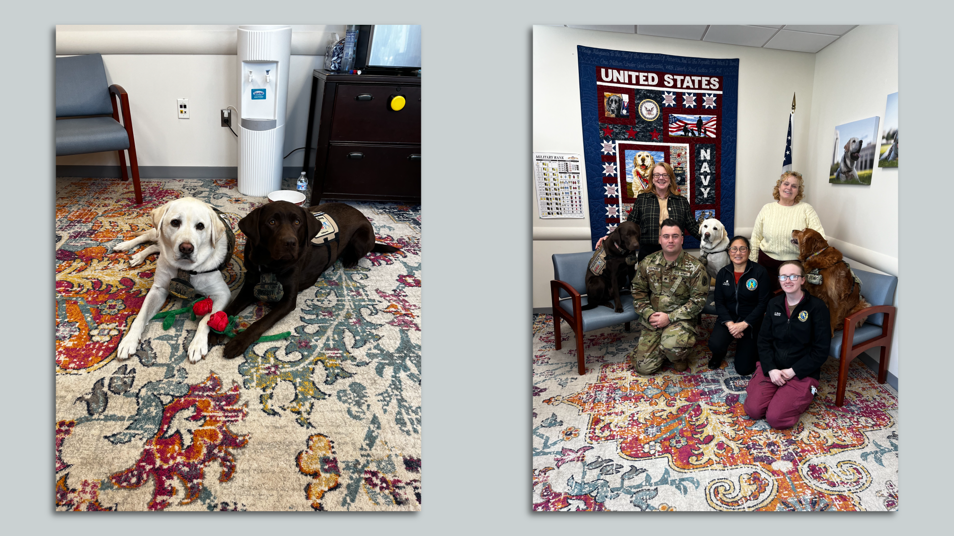 Sully and Biscuit (left) and the facility dog program team. Photo: Anna Spiegel