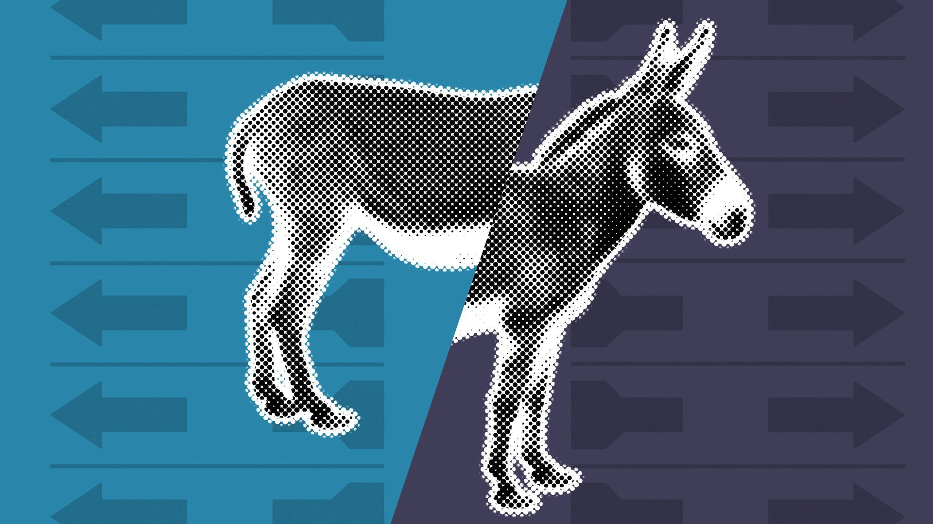 Illustration of a donkey split in half. 