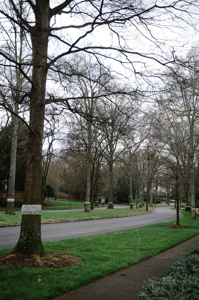 Take a weekend drive – 11 photos of Queens Road West - Axios Charlotte