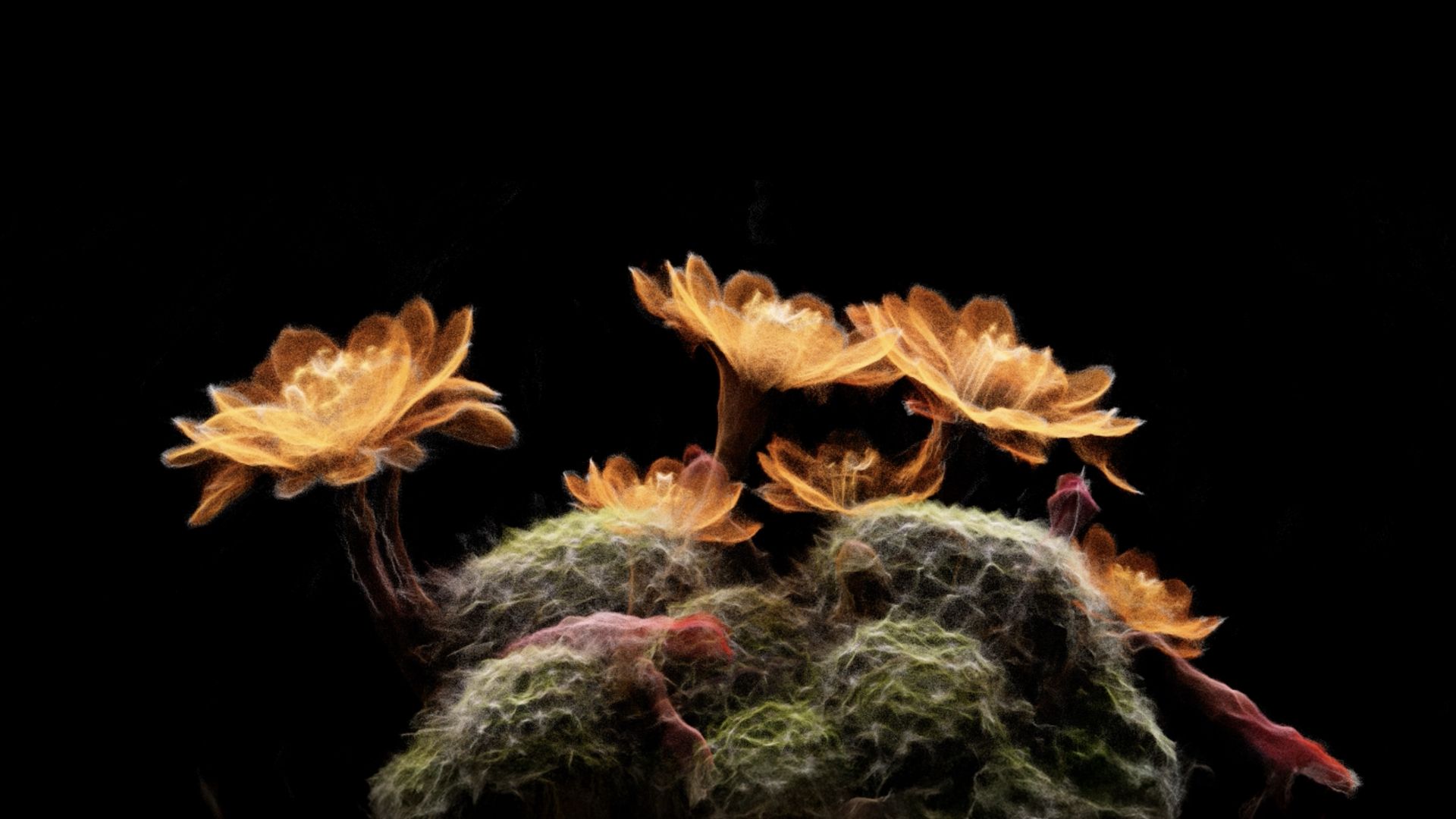 Close-up of orange flowers blooming from a spiky green cactus against a pitch-black background, with a glowing, ethereal effect.