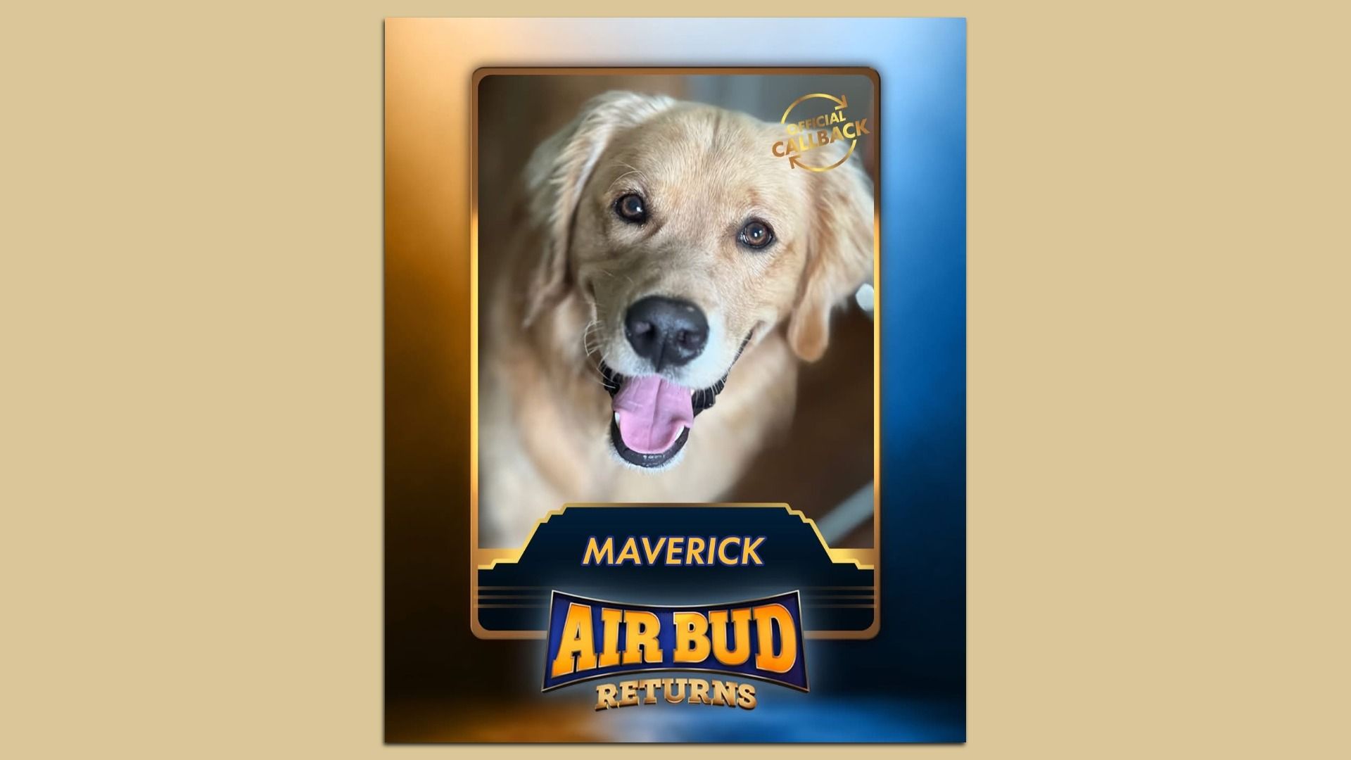 Close-up of happy golden retriever dog named Maverick with tongue out, featured on a blue and gold card for "Air Bud Returns" with an official callback stamp.