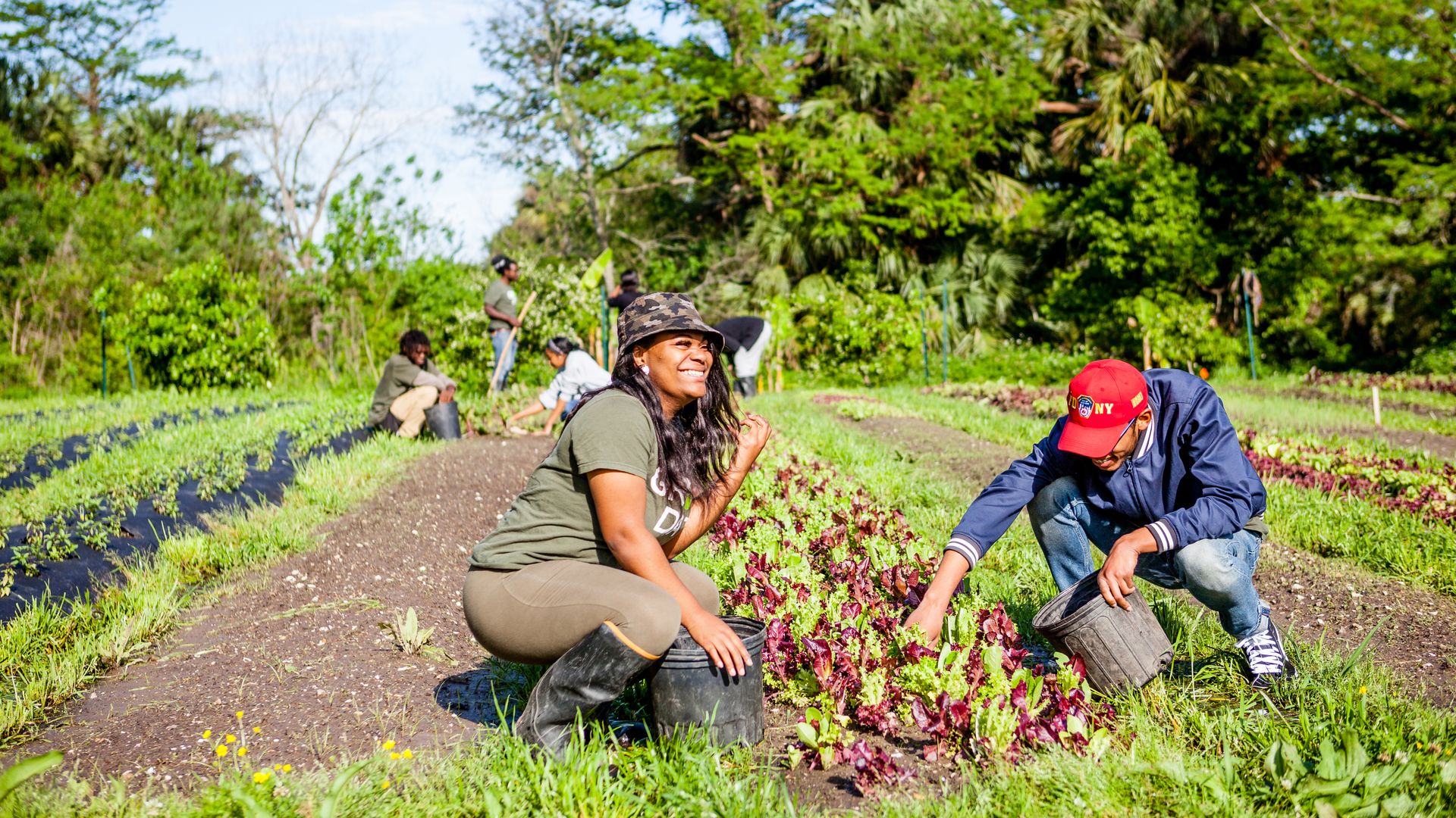 Photo shows people gardening in a field at Grow Dat Youth Farm.