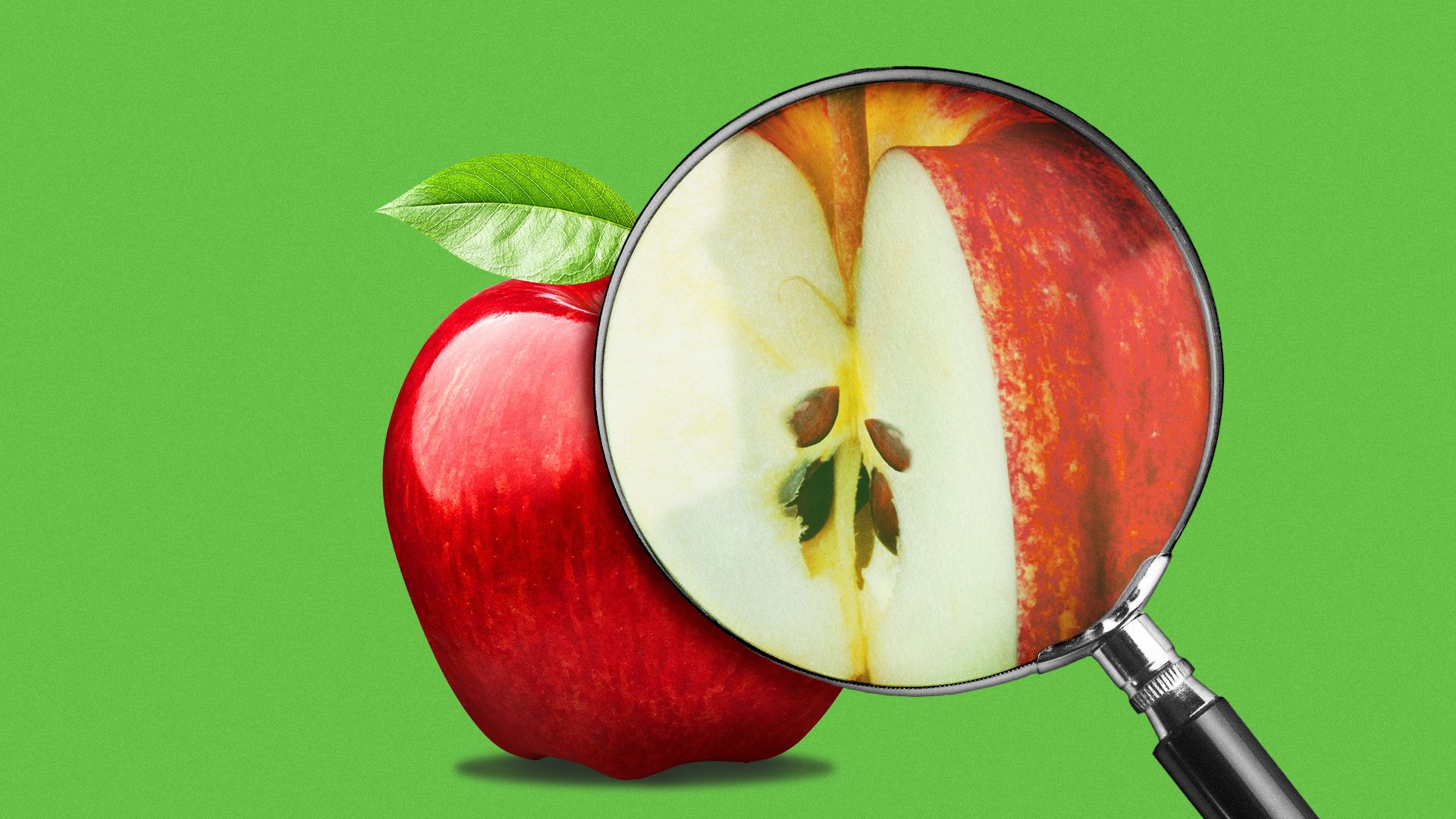 Illustration of magnifying glass showing the inside of an apple.