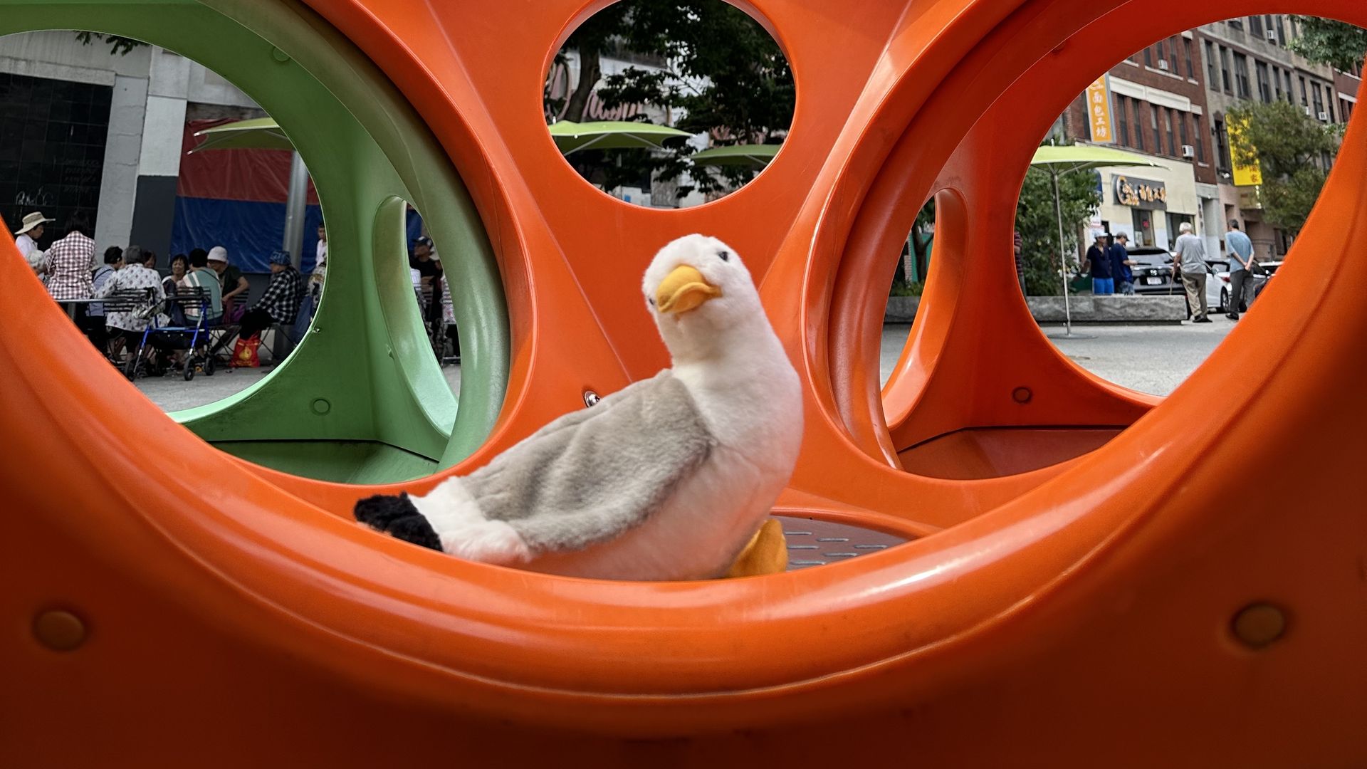 Townie, Boston's plush gullscot, is in a round ball-like jungle gym equipment somewhere in the Boston area.