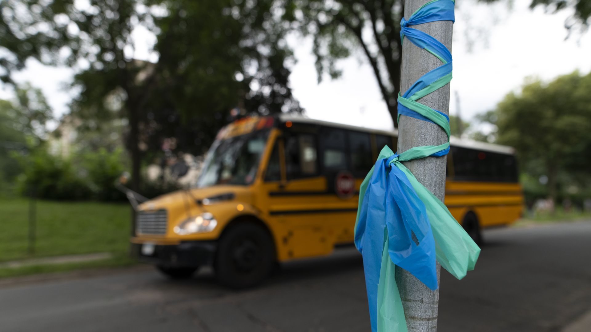 a green and blue bow on a signpost with a school bus in the background