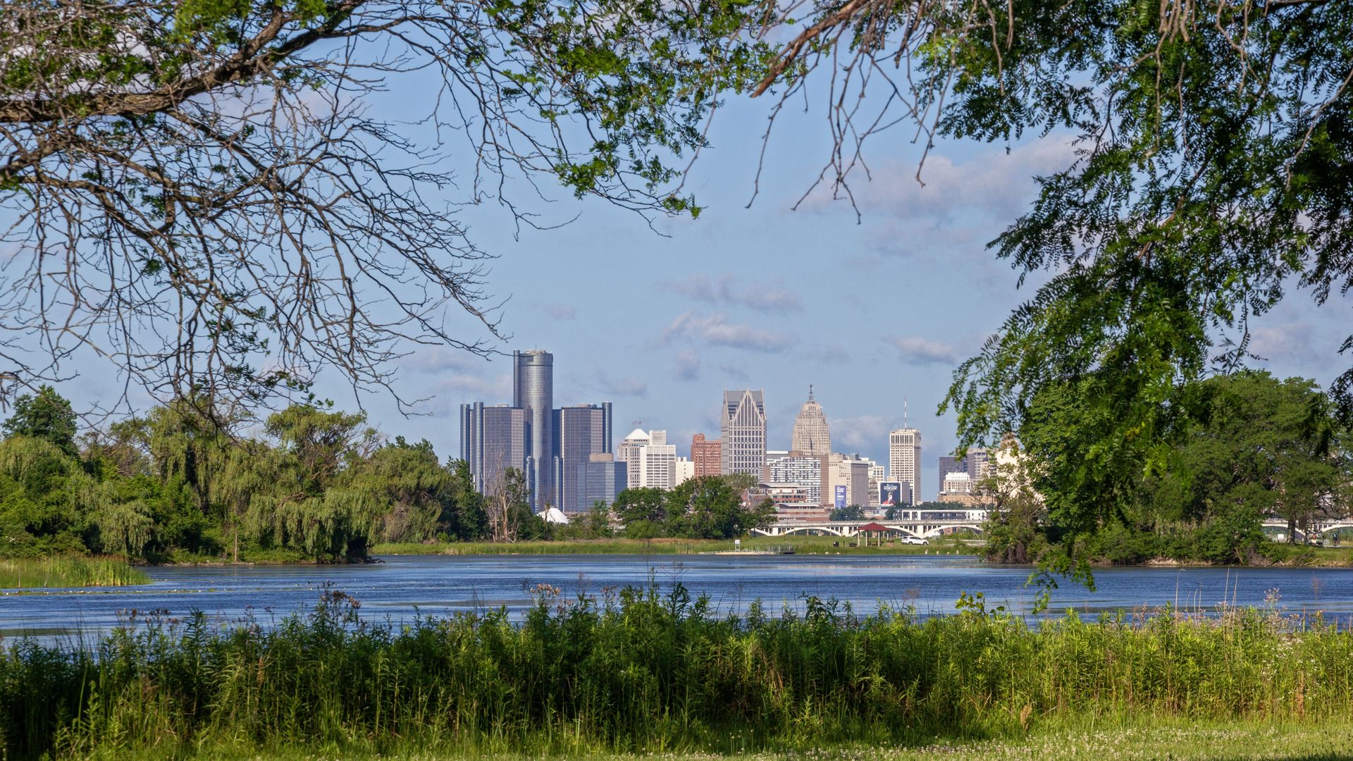 A view of Detroit's skylie with the RenCen, seen through trees and grass from belle isle with the river in the foreground