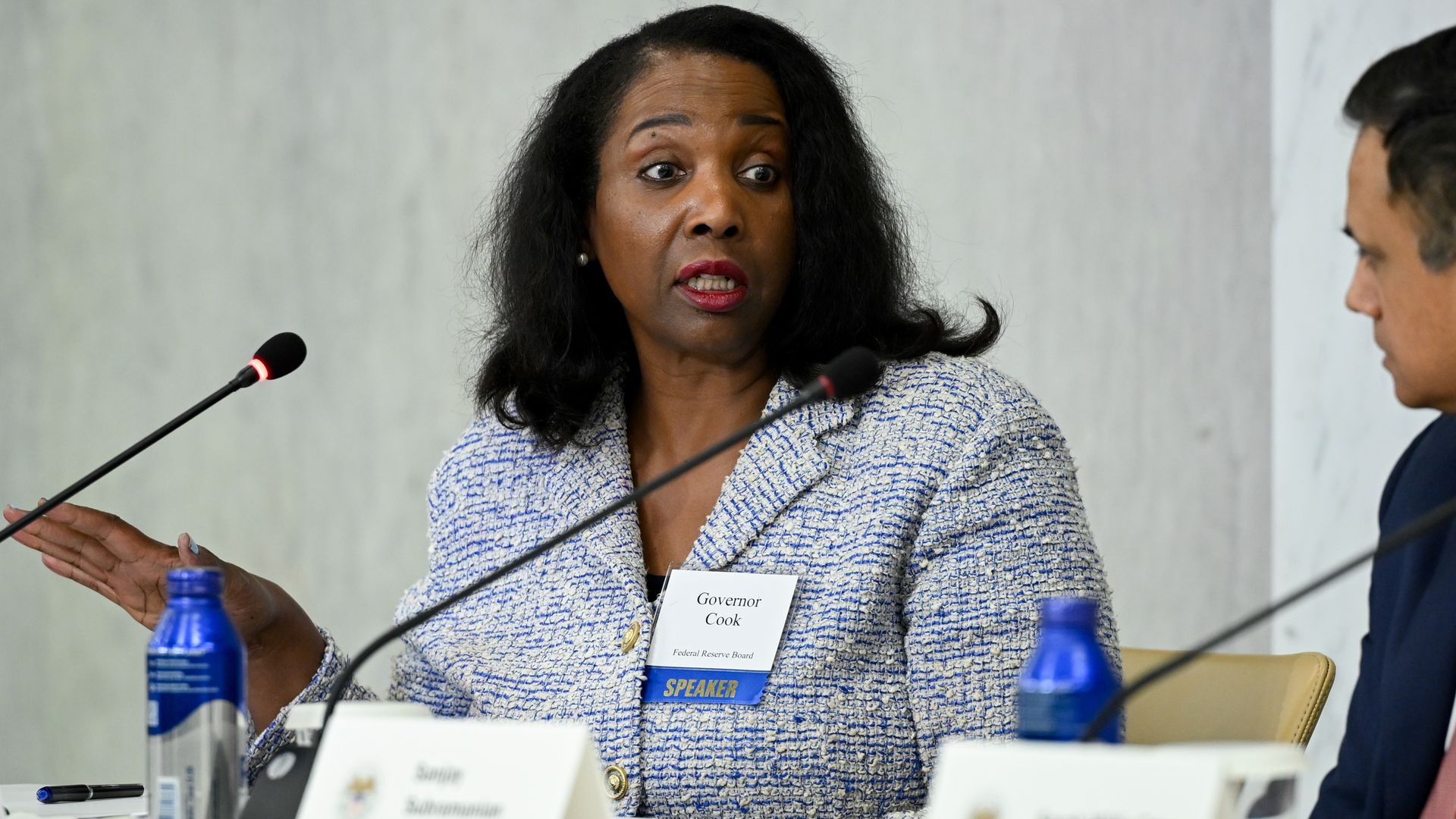 Federal Reserve governor Lisa Cook speaking on a panel.
