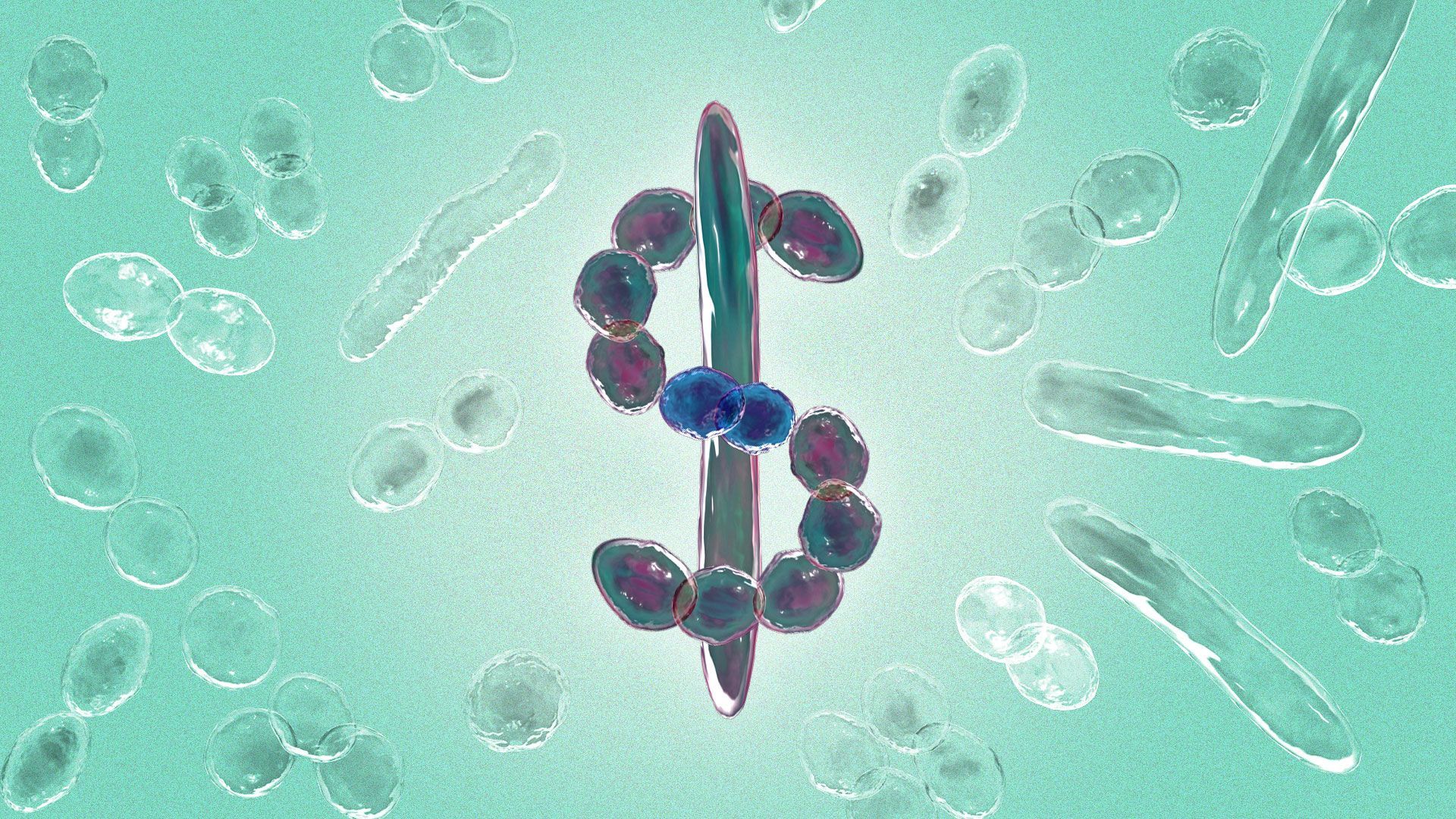 Illustration of bacteria forming the shape of a dollar sign.
