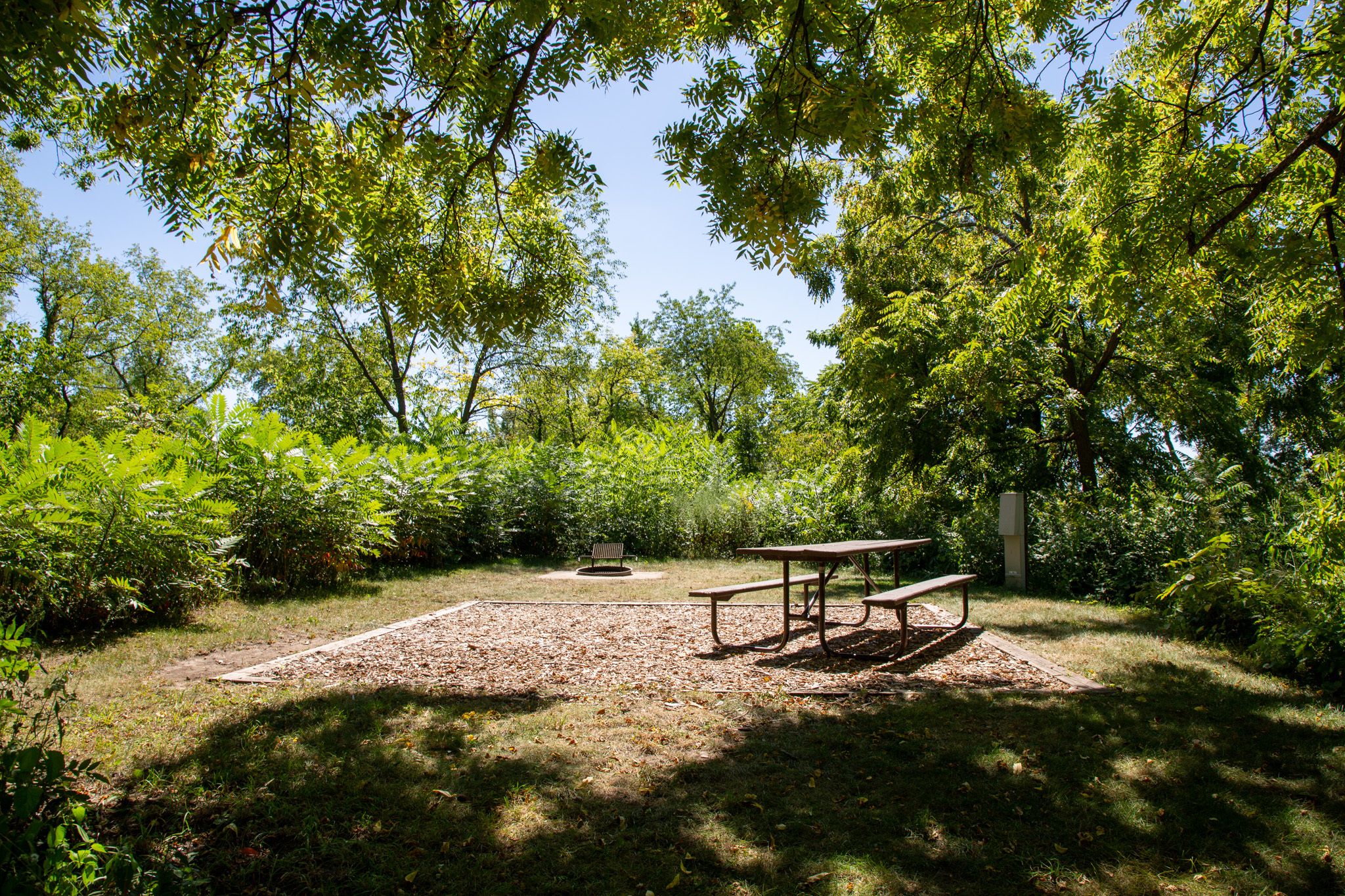 picnic table surrounded by trees