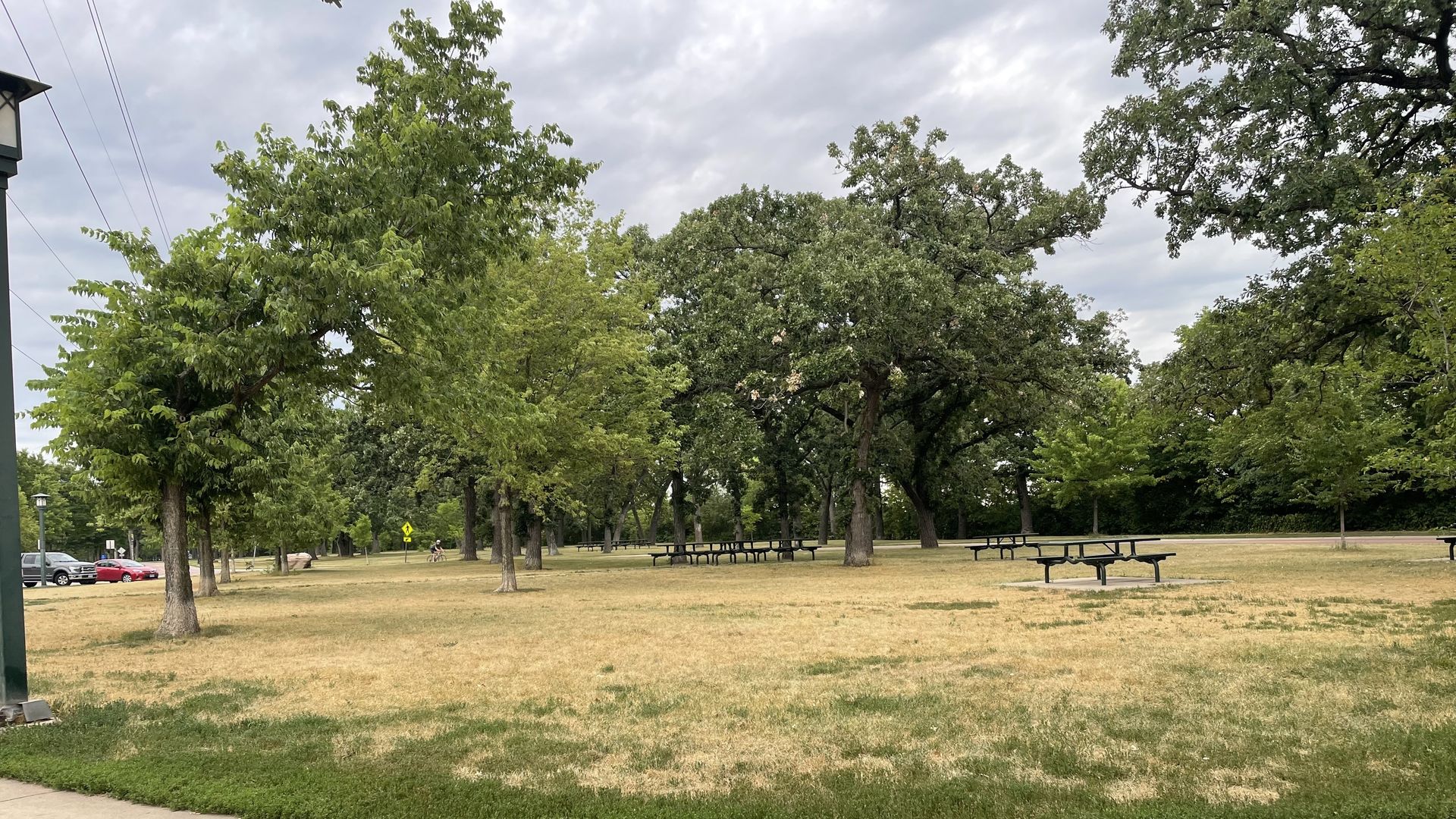 yellow grass at minnehaha park