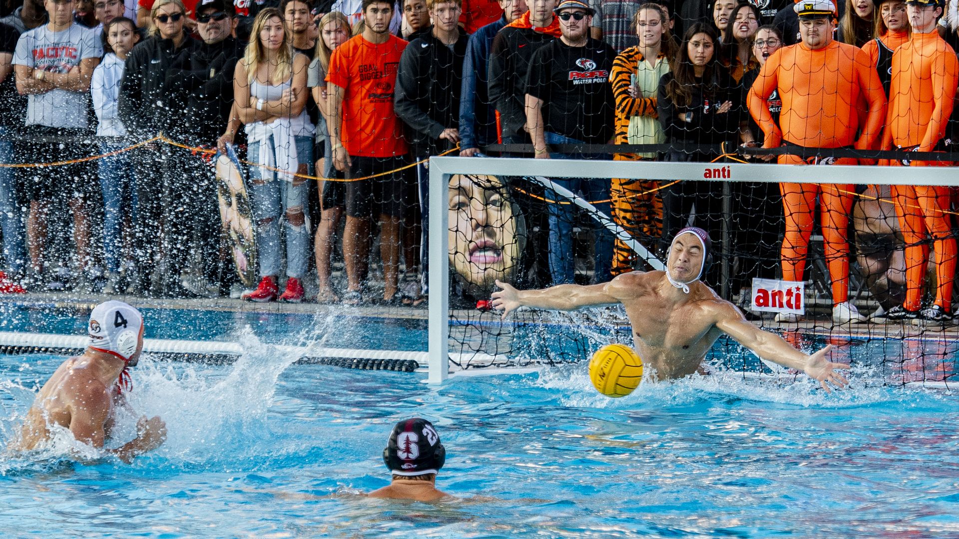 Stanford vs. Pacific water polo
