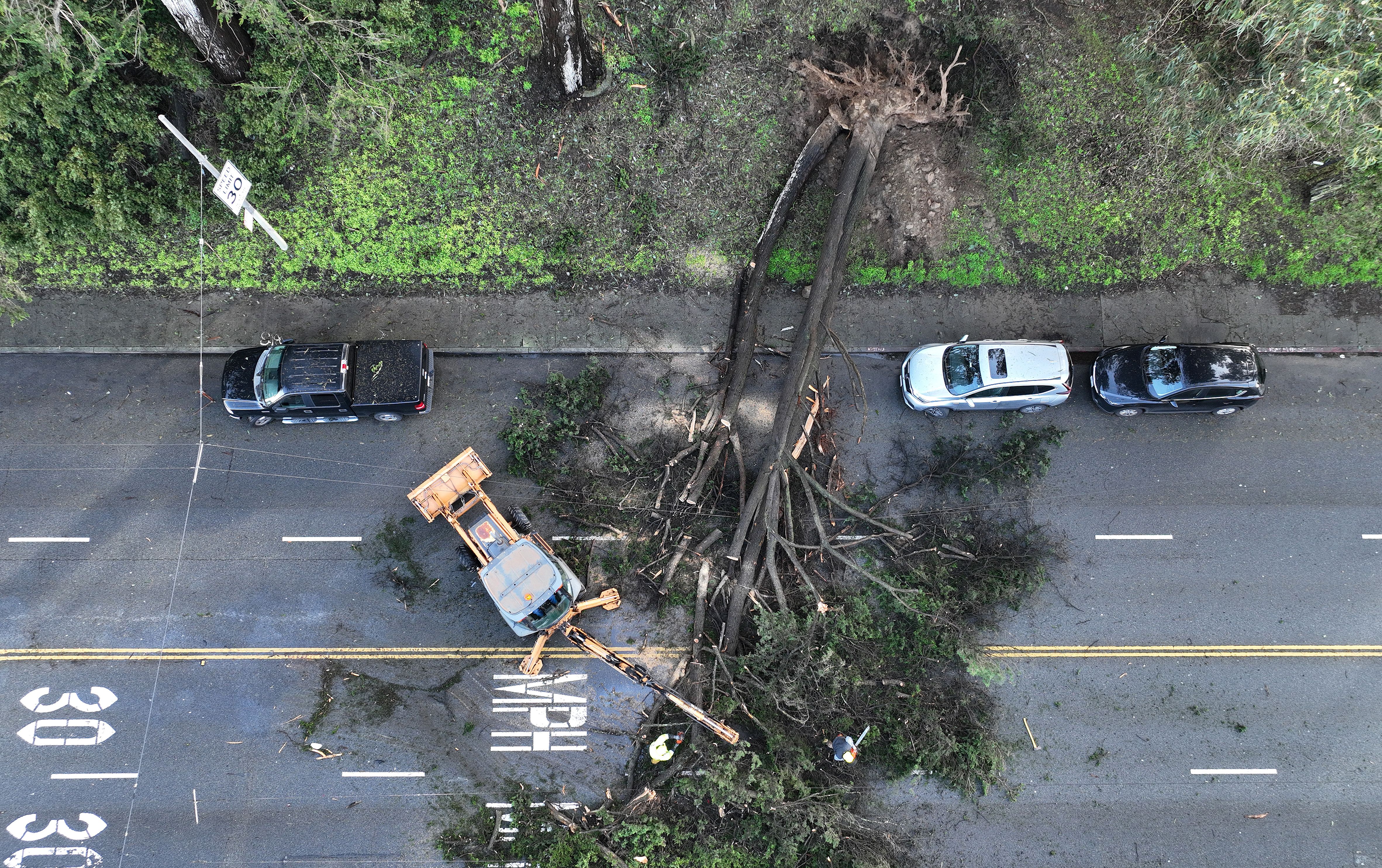 In an aerial view, San Francisco Department of Public Works workers clean up a tree that fell on Fulton Street after a storm passed through the area on January 10, 2023 in San Francisco.