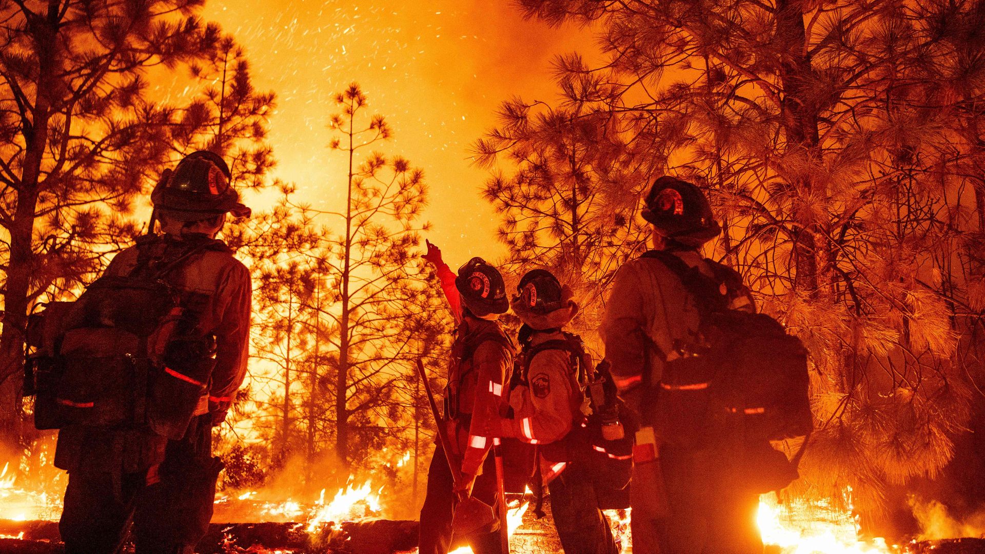 CalFire Placer Crew firefighters monitor a backfire during the Mosquito fire in Foresthill, an unincorporated area of Placer County, California on September 13.