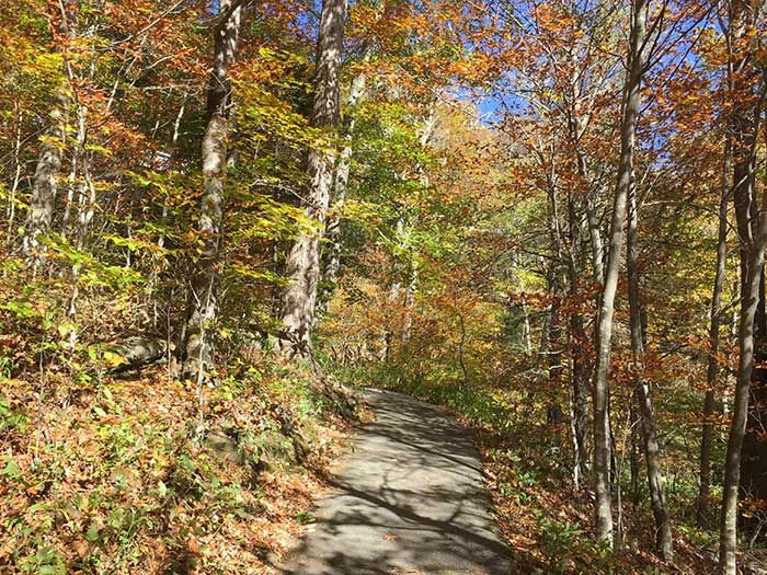 linn-cove-viaduct-path