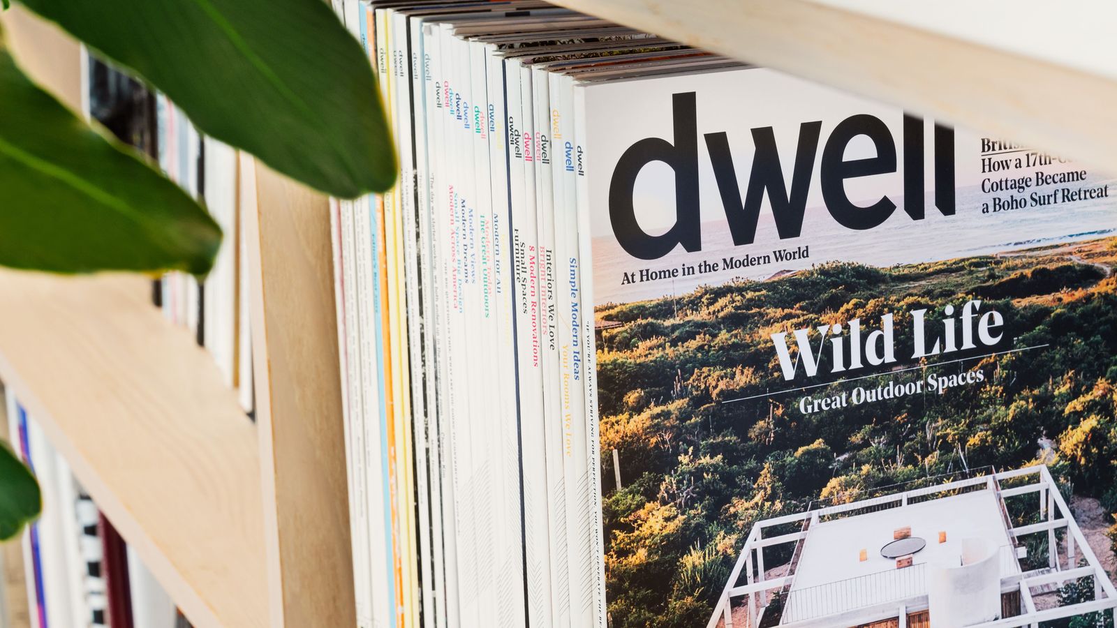 DFS acquires Dwell  Furniture News Magazine