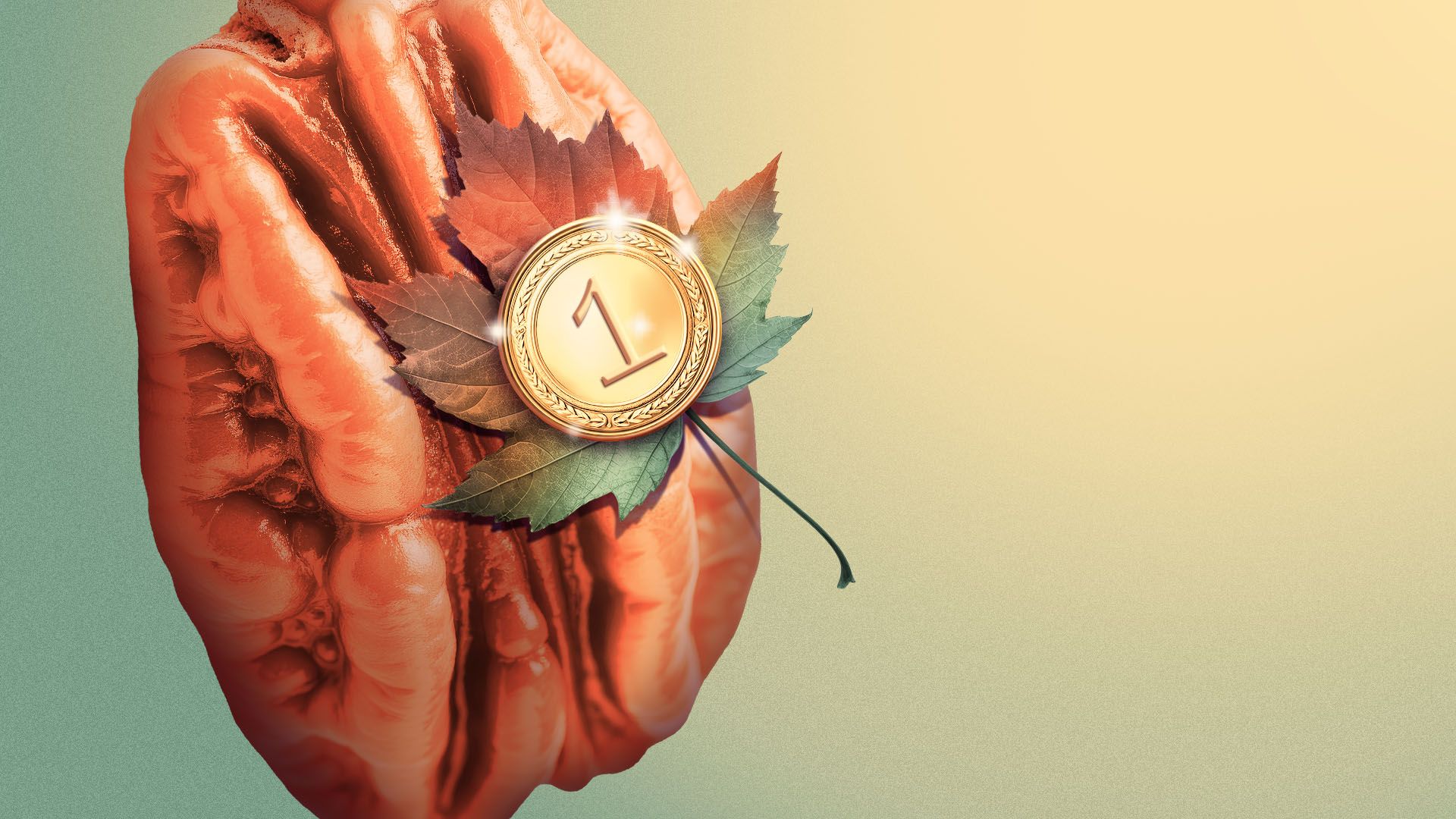 Illustration of a shiny golden medal with number 1 on a green and purple maple leaf, resting on a large brown pecan against a green and beige gradient background.