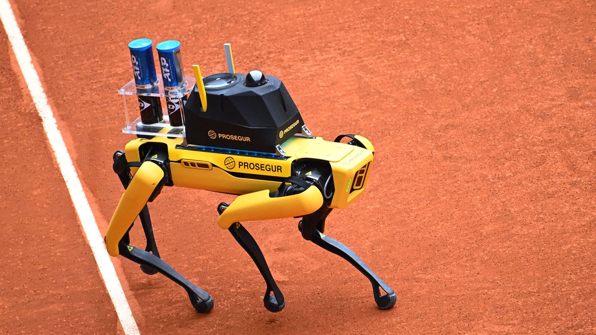 A robot dog carries tennis balls at the Madrid Open.