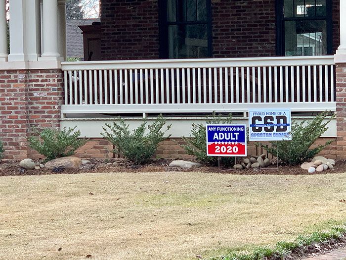 Any Functioning Adult 2020 sign