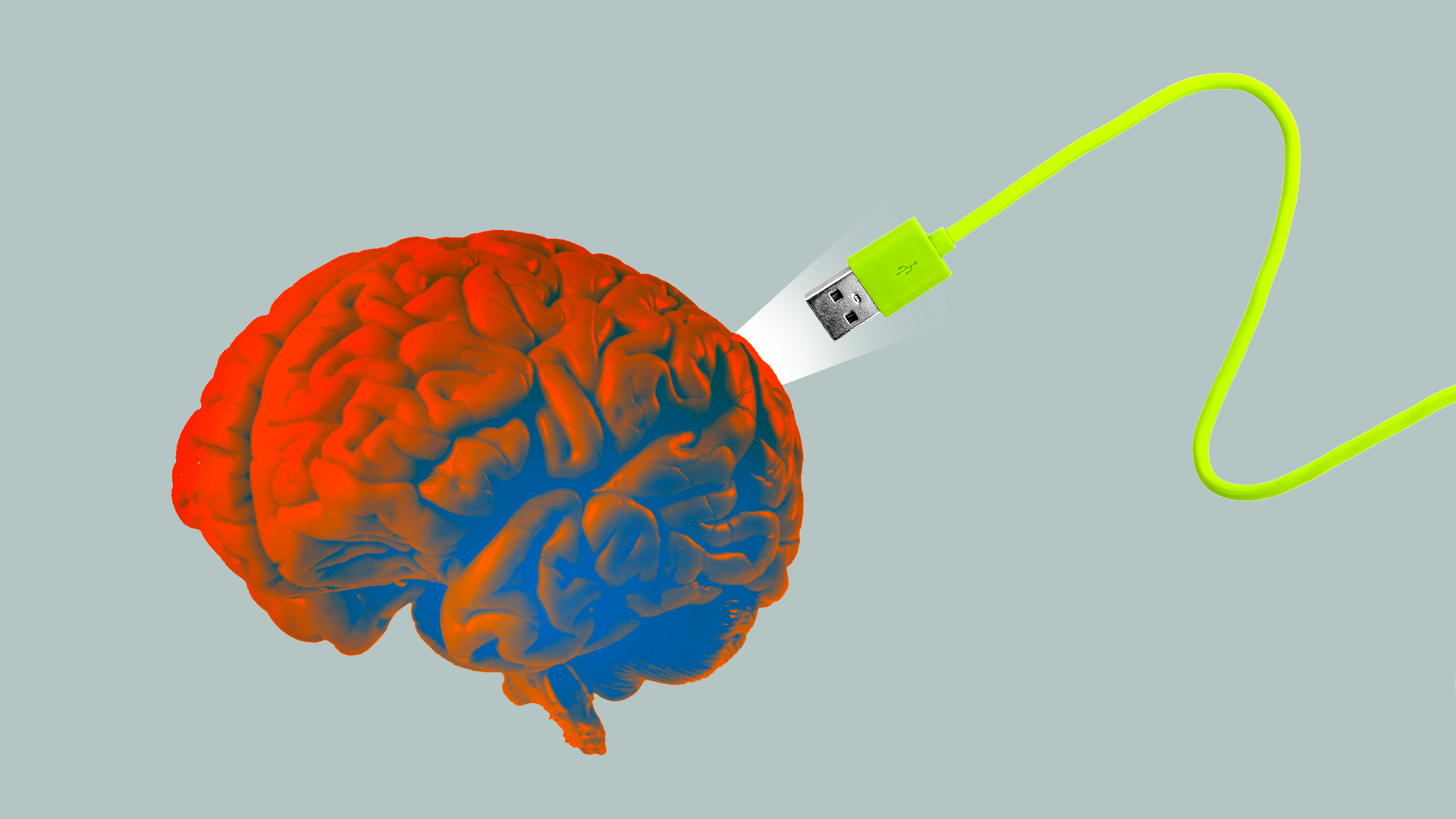 A USB cable plugging into a brain
