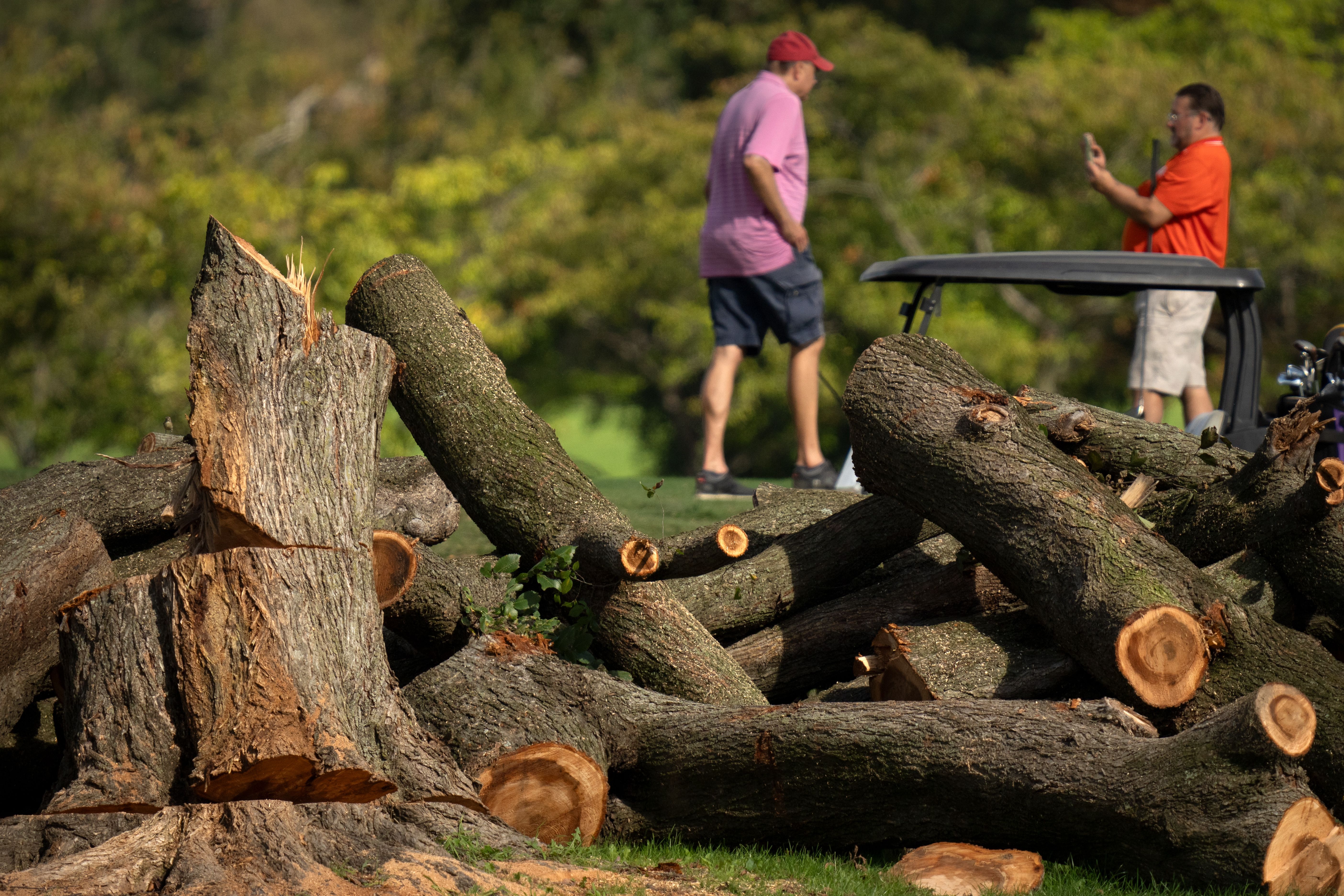 Golfers tee off near log sections cut and tree stumps at the East Potomac Golf Links, Monday, Oct. 12, 2026, in Washington. (AP Photo/Mark Schiefelbein)
