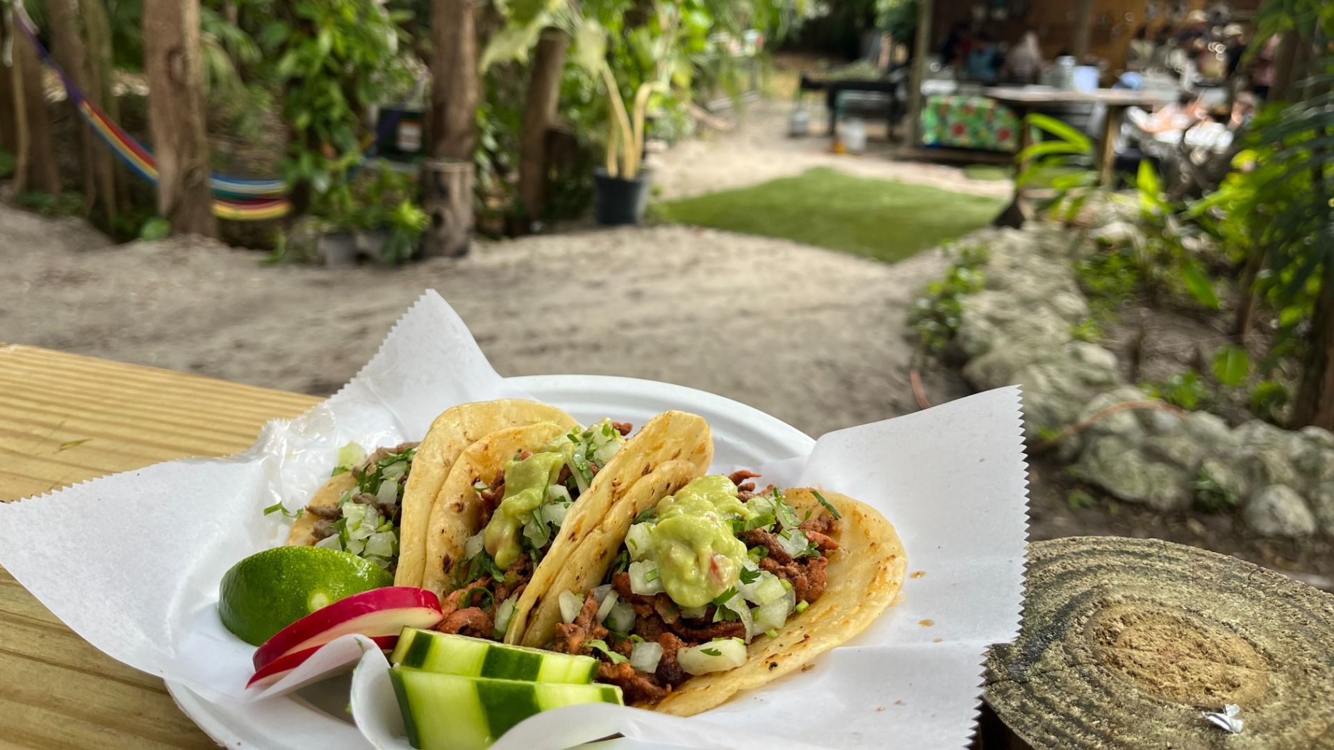 Plate with three tacos filled with meat, onion, cilantro, and guacamole, accompanied by lime wedge, radish slices, and cucumber pieces on a white paper-lined plate outdoors in a garden setting.