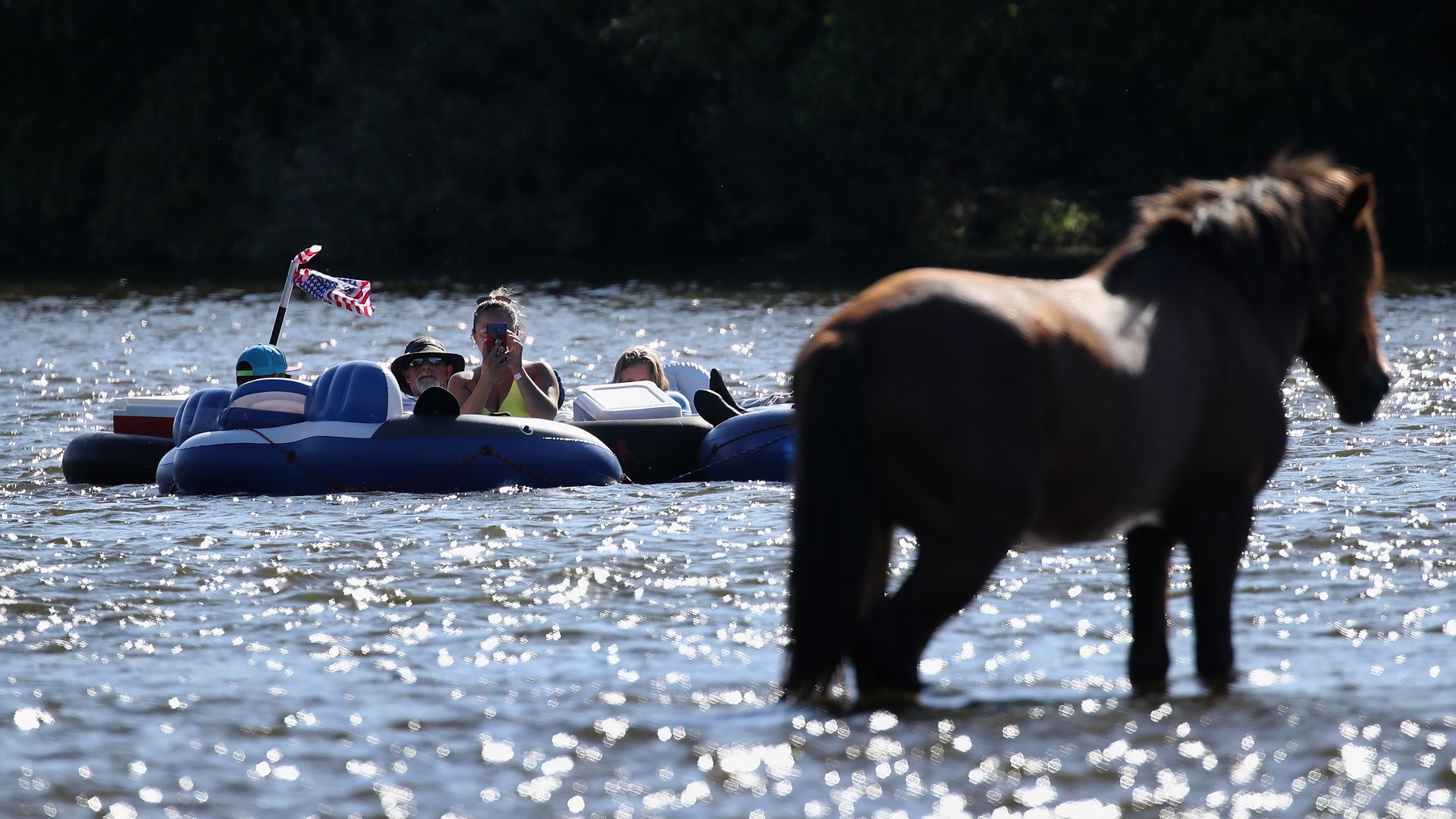 People on a blue inflatable raft float on a sunlit lake, with a small American flag on a pole. A brown horse stands in the right foreground as dark trees line the far shore.