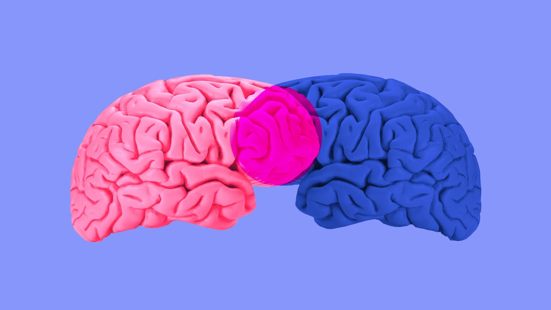 Illustration of two brains overlapping to form a Venn diagram