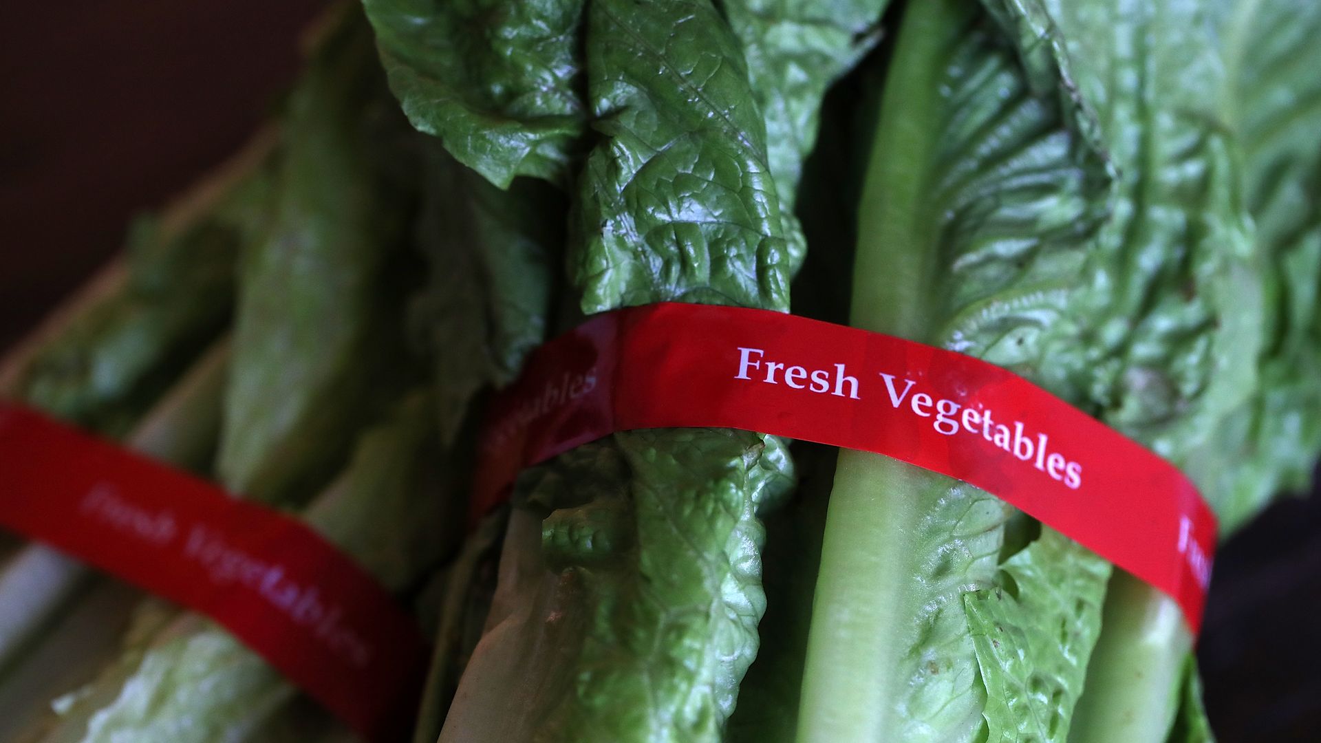 Photo of romaine lettuce