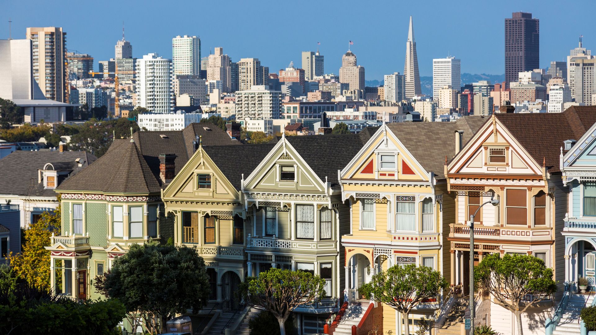Painted ladies San Francisco.
