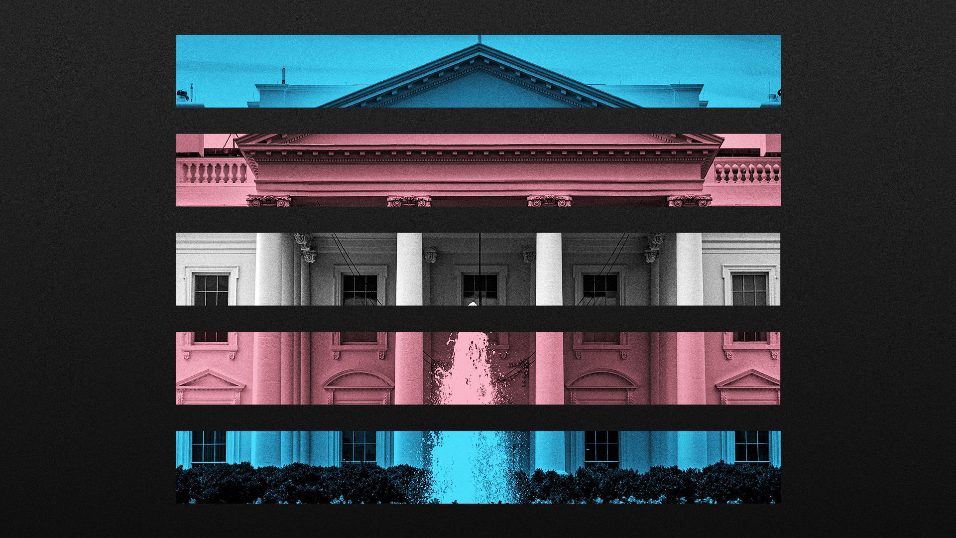 Illustration of the White House overlaying the colors of the transgender pride flag.