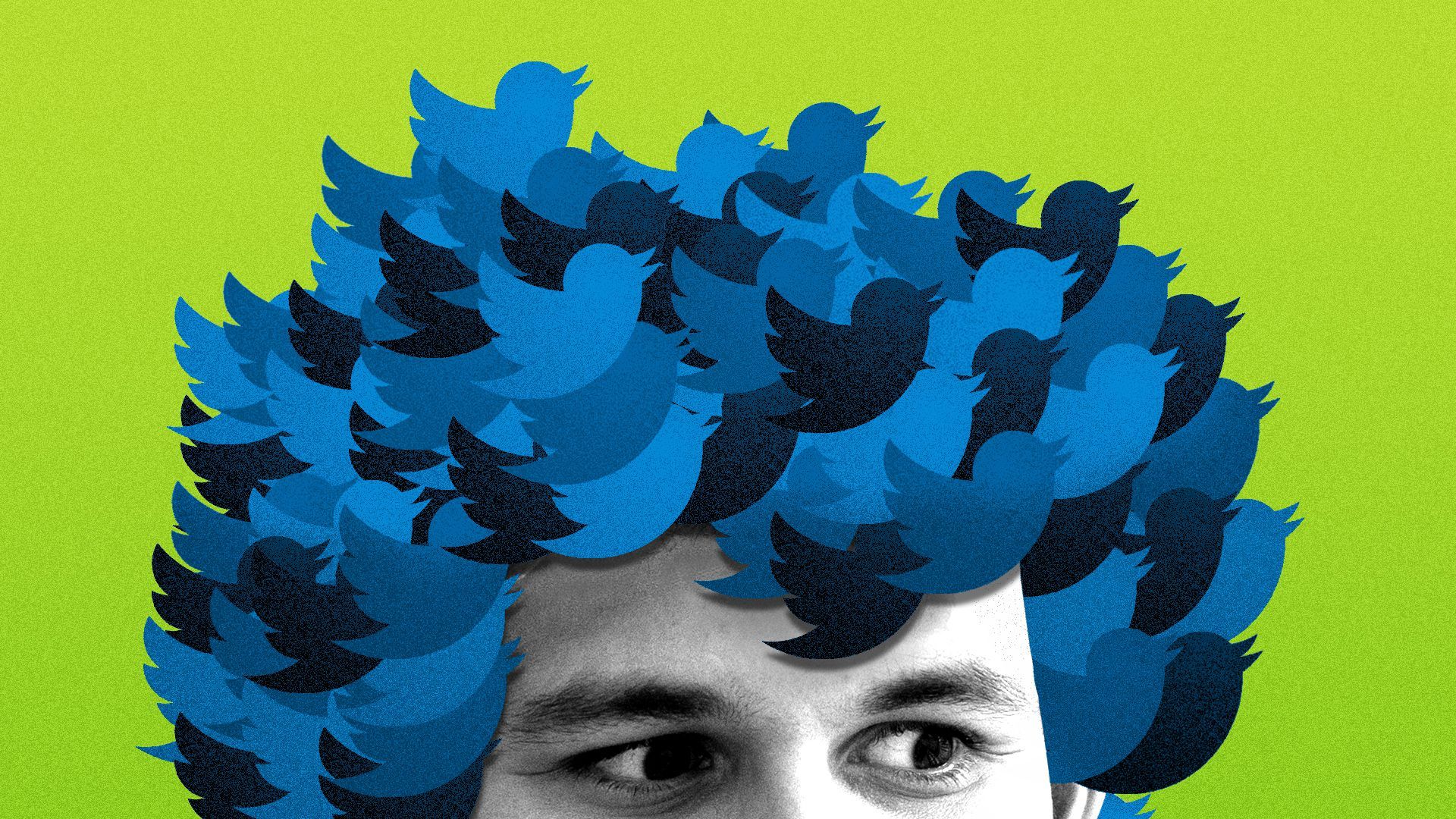 Photo illustration of Sam Bankman-Fried with hair made out of Twitter logos. 
