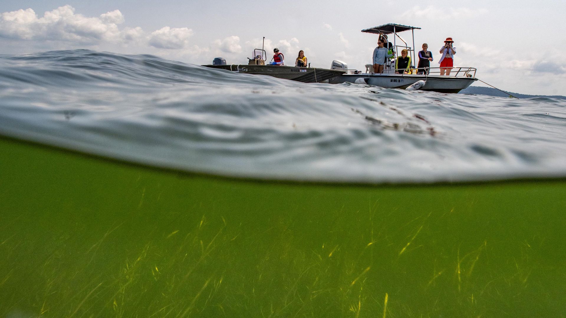 Wide shot of a gray motorboat with several people wearing life jackets on deck, some photographing. The waterline splits the frame, revealing a green seabed beneath and a cloudy sky.