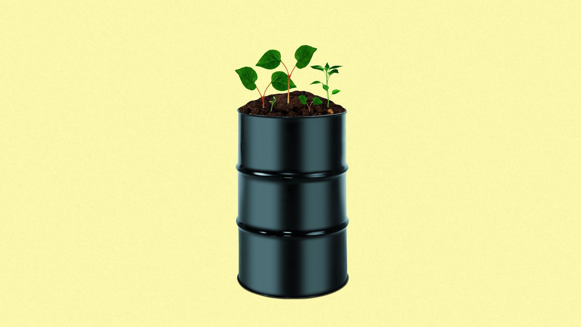 Illustration of a plant potter.
