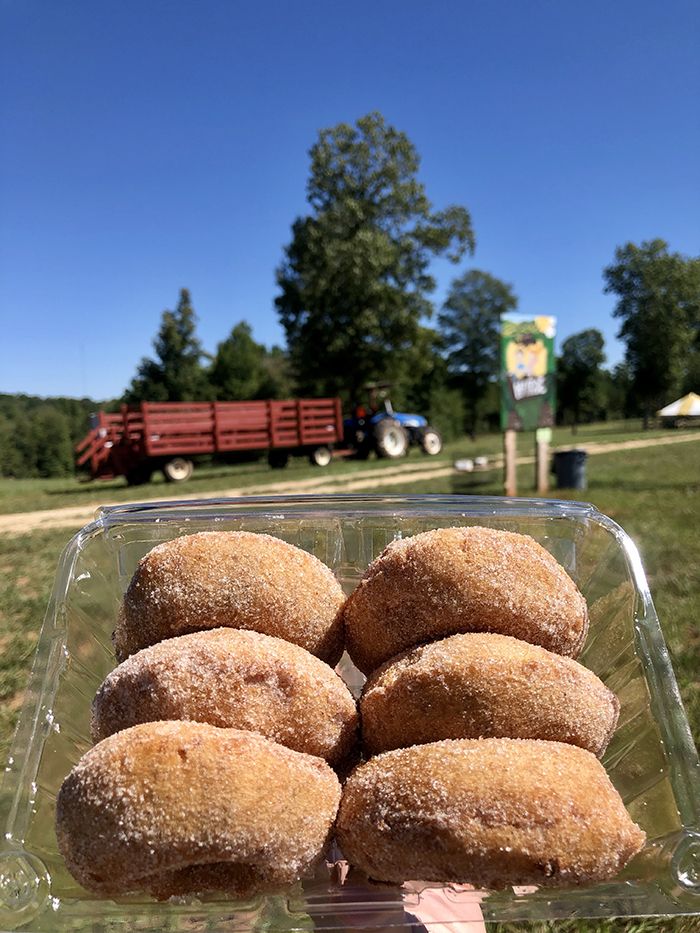hall family farm donuts