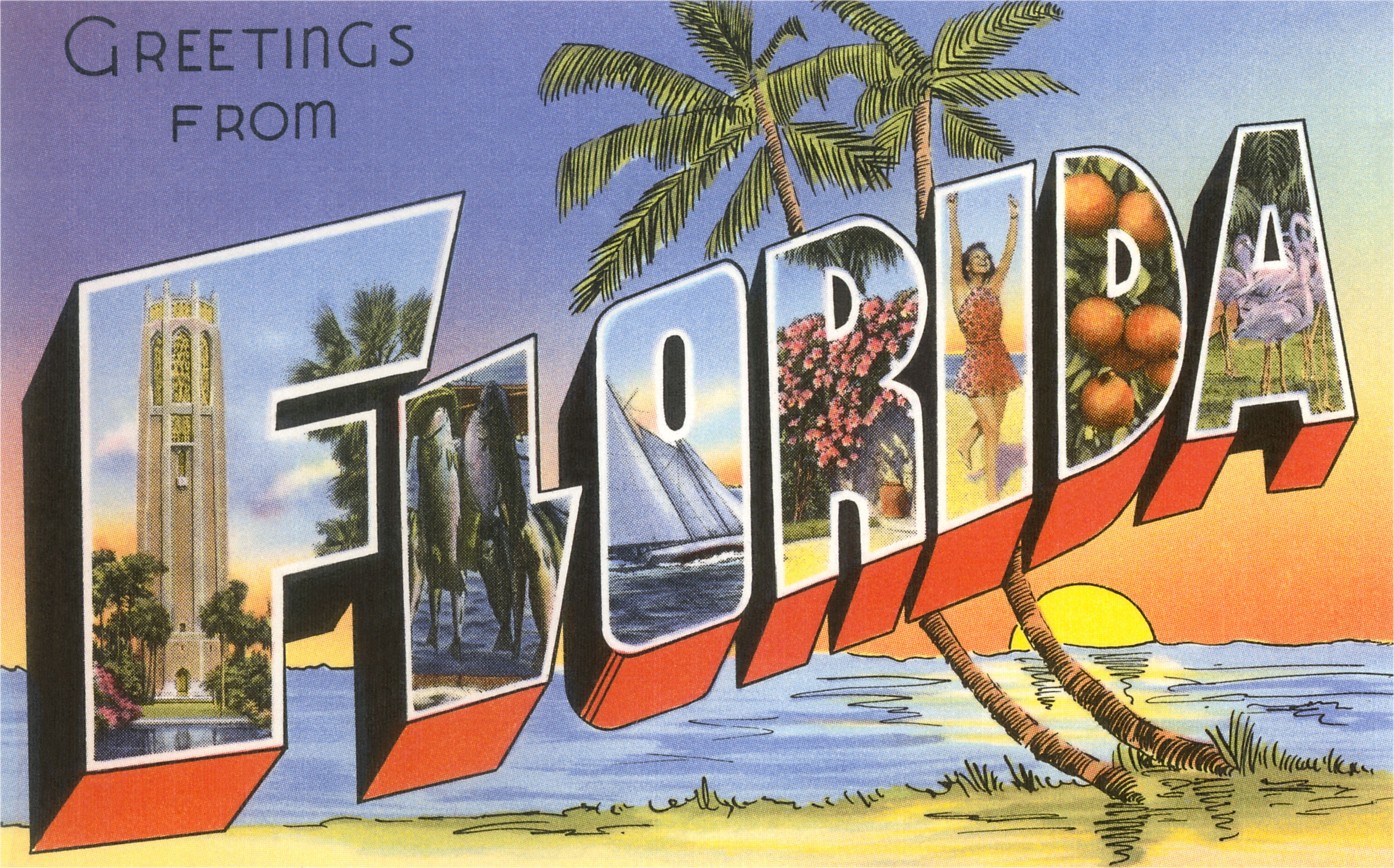 Greeting card: Florida