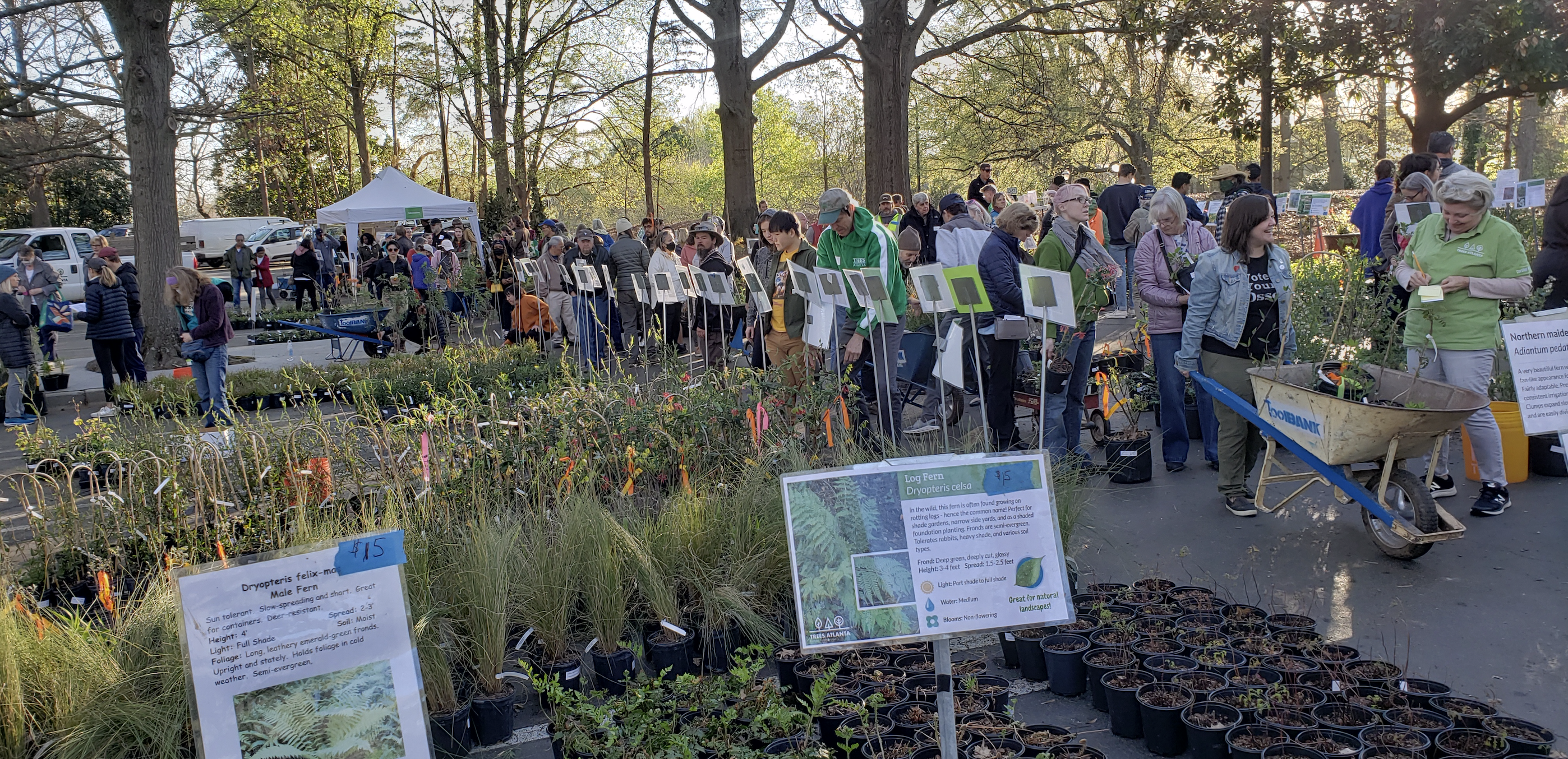 People read information sheets about a variety of plants arranged at a sale in a wooded area