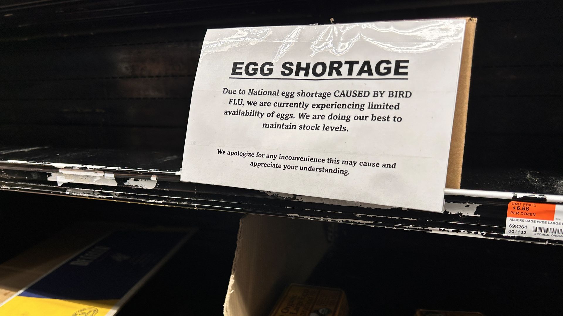 Egg shortage 2025 Bird flu outbreak drives up egg prices, hits supply