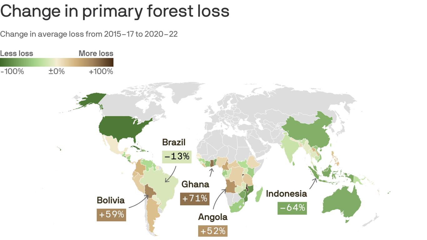 Deforestation's Increased Last Year Despite Global Pledge