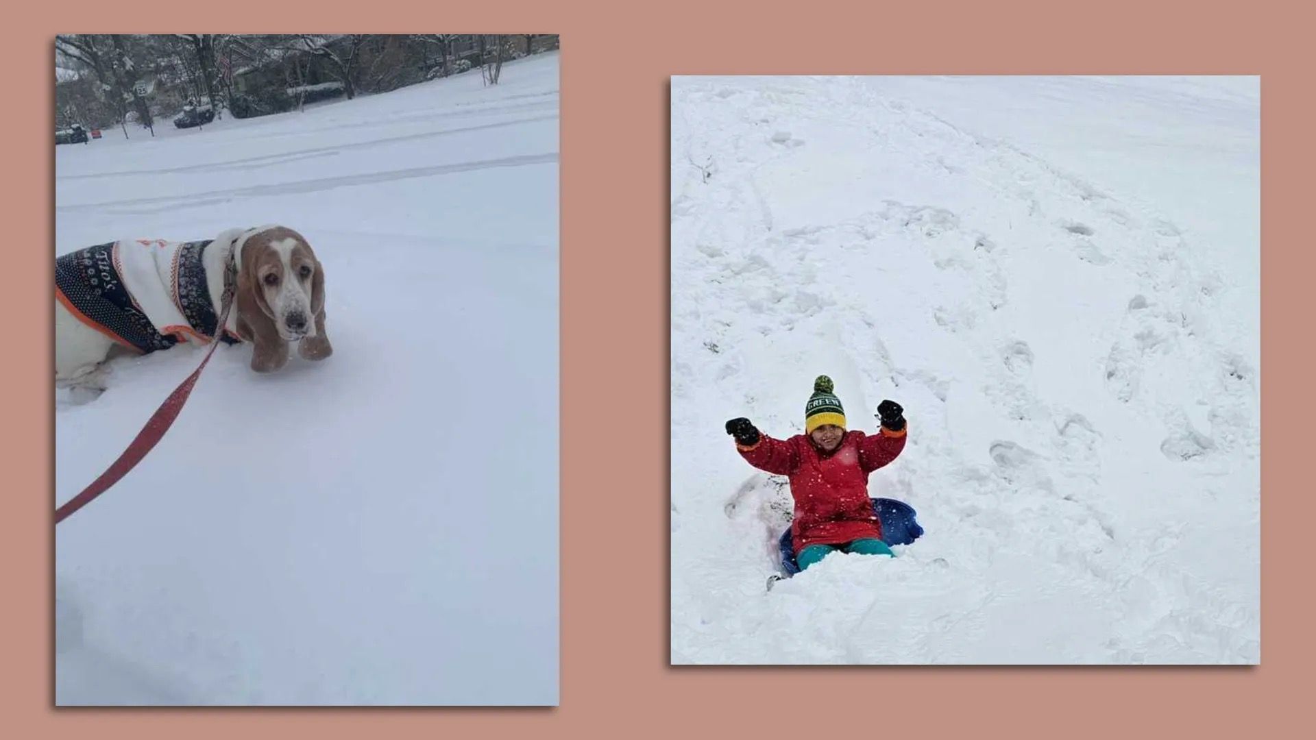 side by side photos of a dog in the snow and a kid going sledding down a hill with arms raised