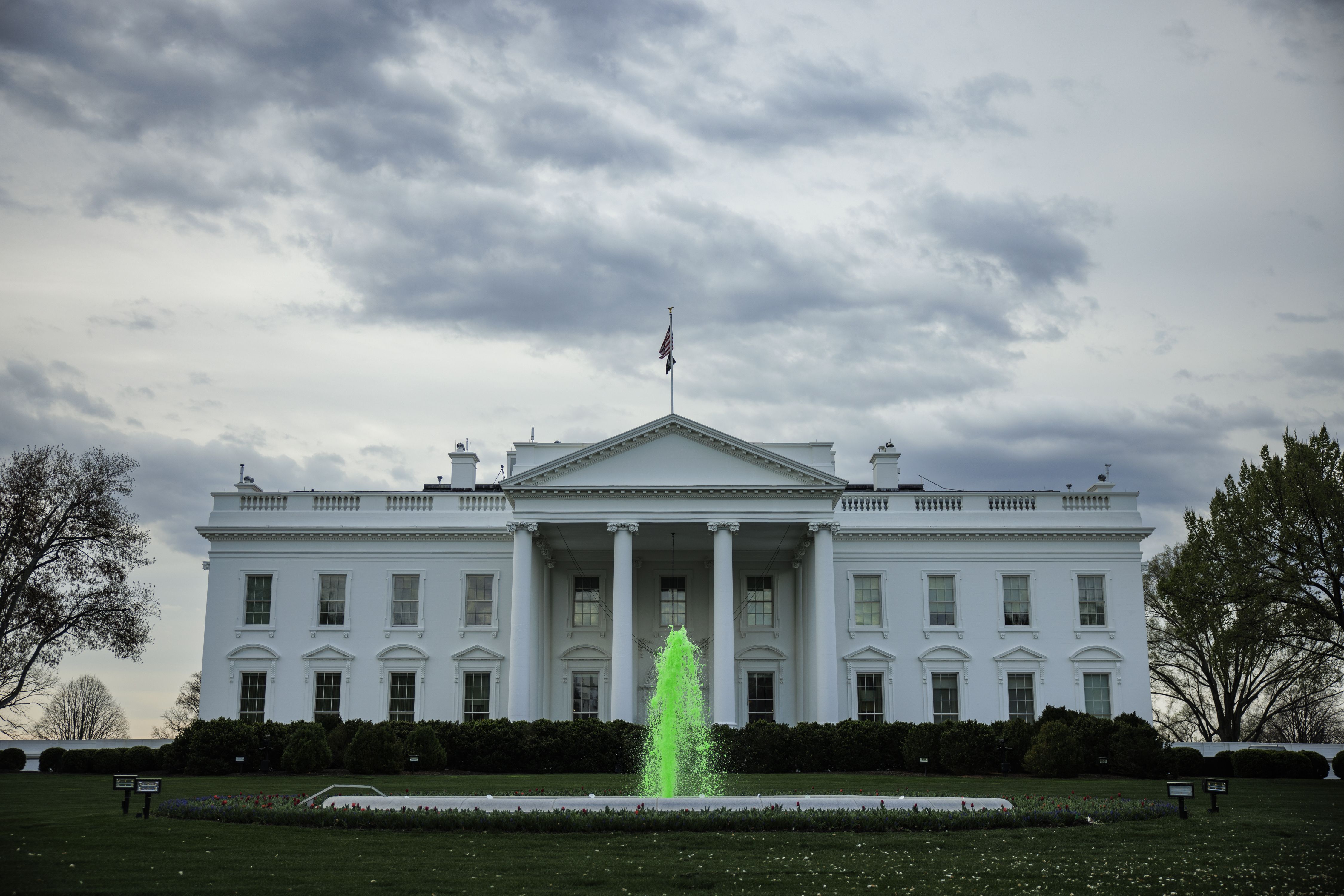 Dyed green fountain in front of the White House