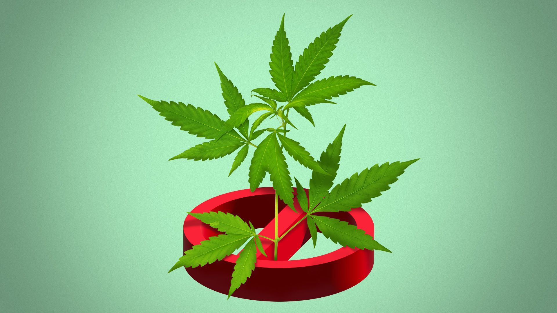 Illustration of a marijuana plant growing through a "no" symbol.